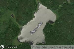 Deer Lake