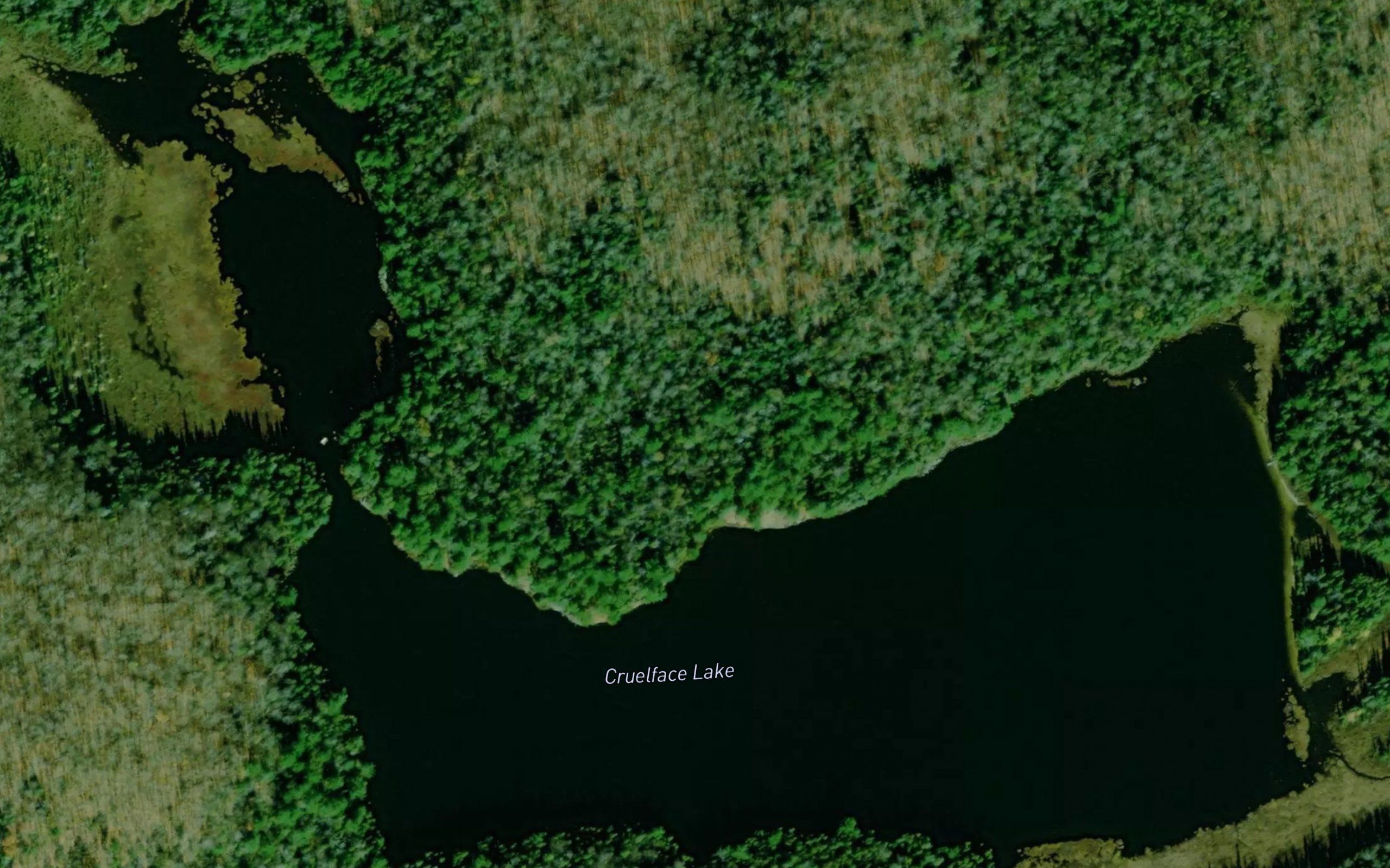 Cruelface Lake
