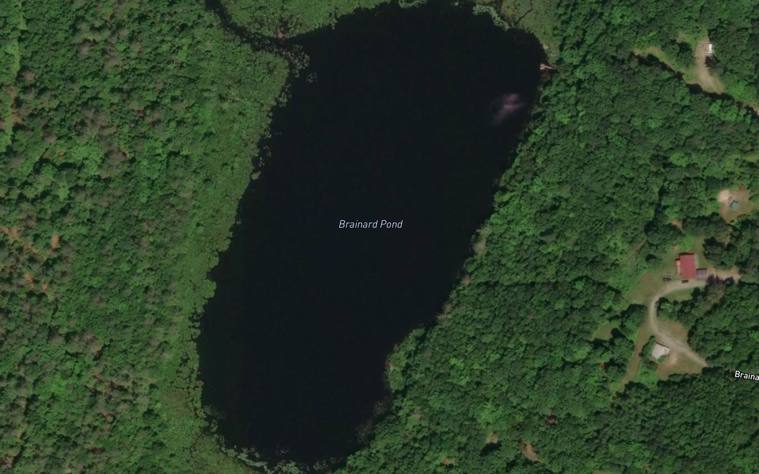 Brainard Pond
