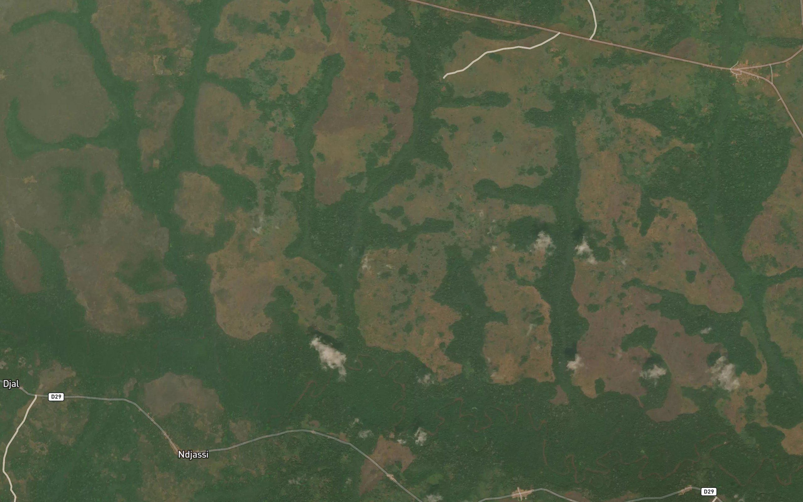 Ngoua
