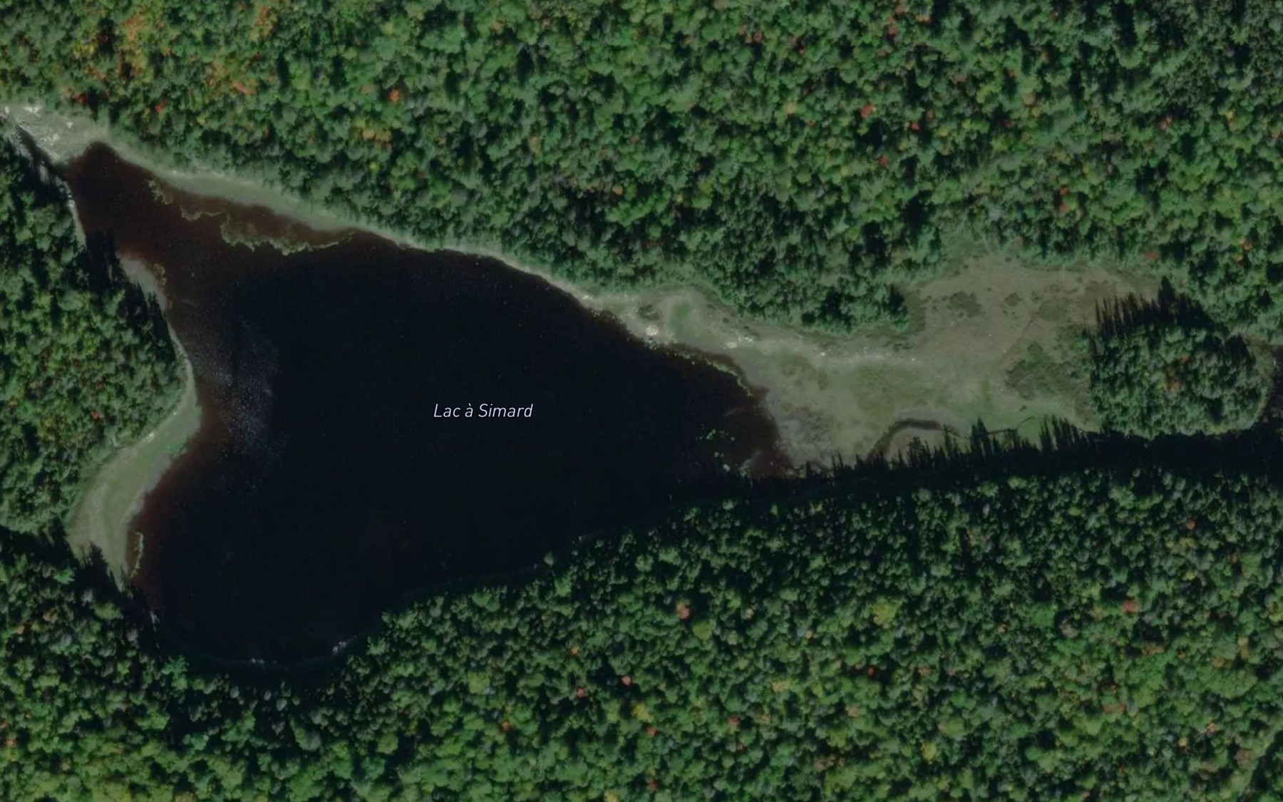 Satellite map of the Lac a Simard