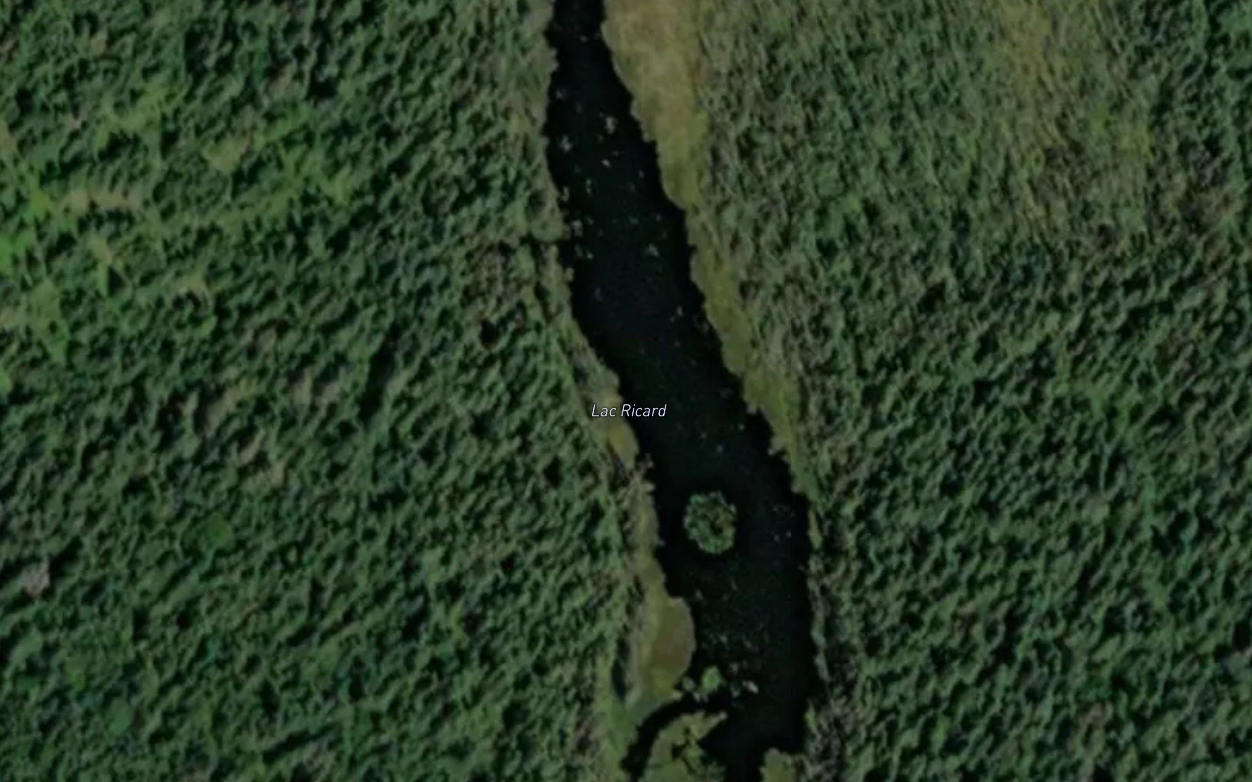 Lac Ricard