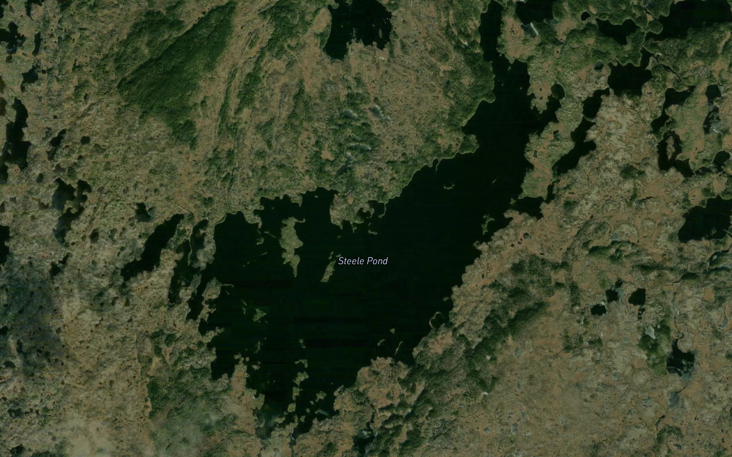 Steele Pond