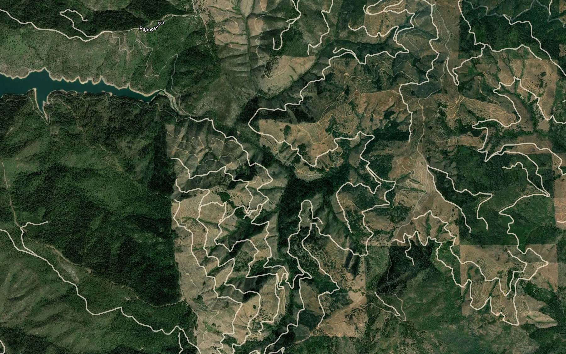 Satellite map of the South Fork Papoose Creek