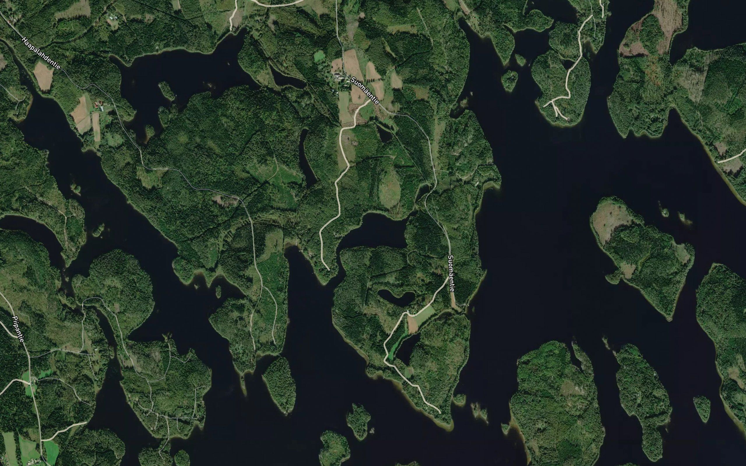 Pitkalahti