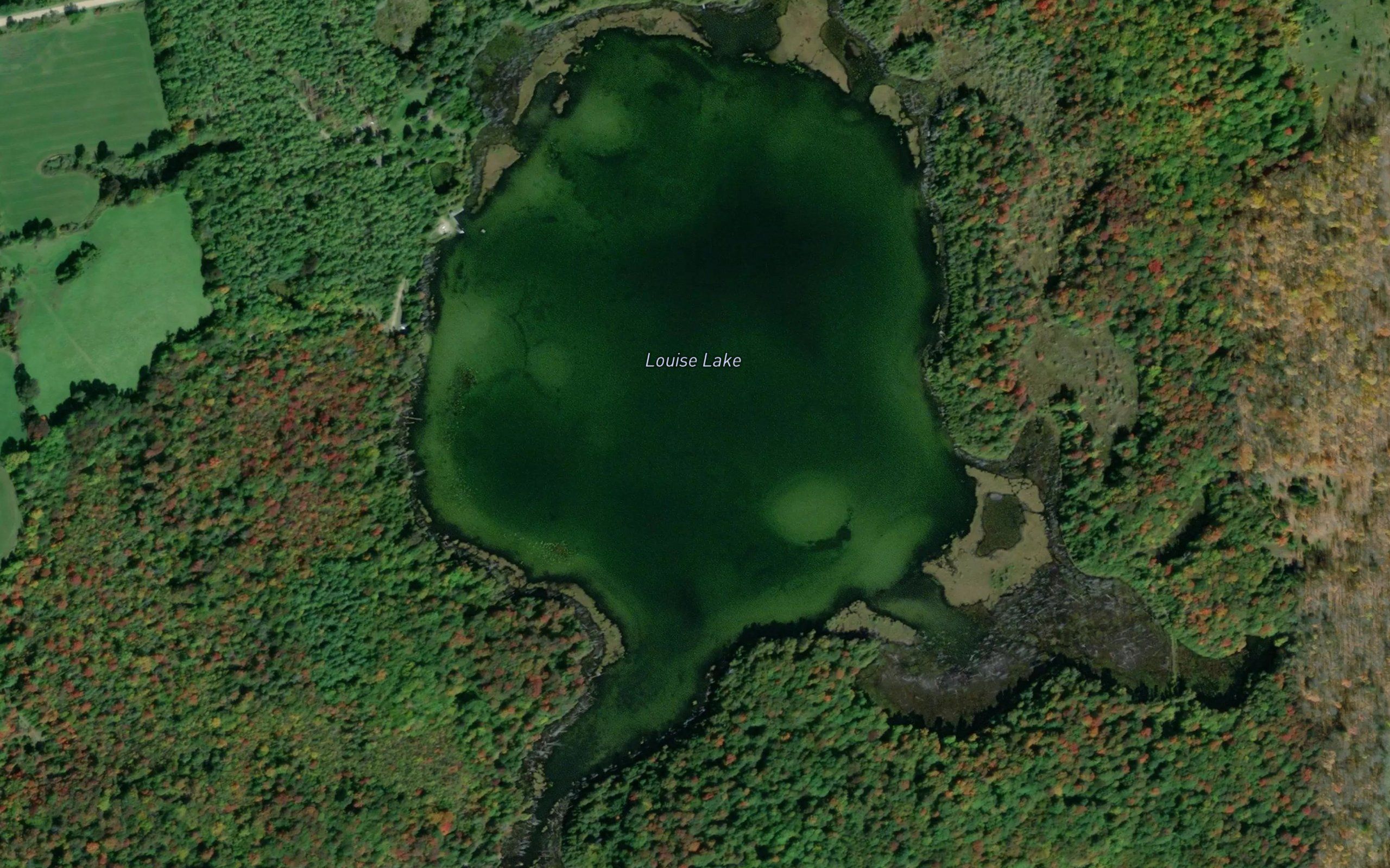 Louise Lake