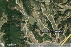 Gayaji