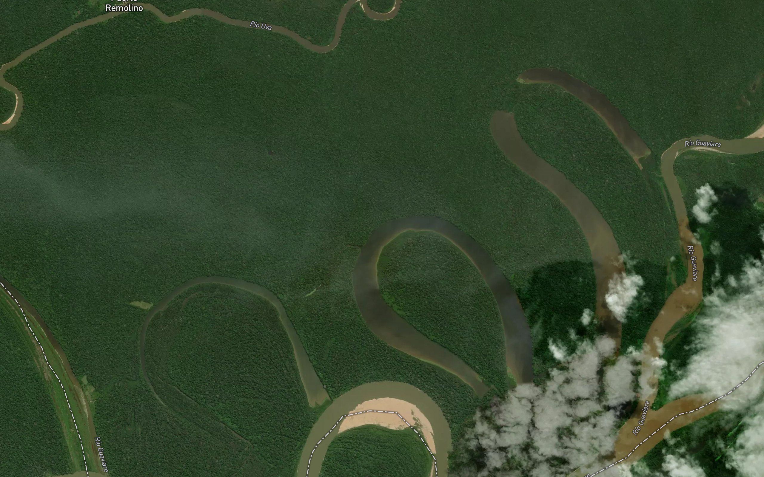 Laguna Laguna Caiman