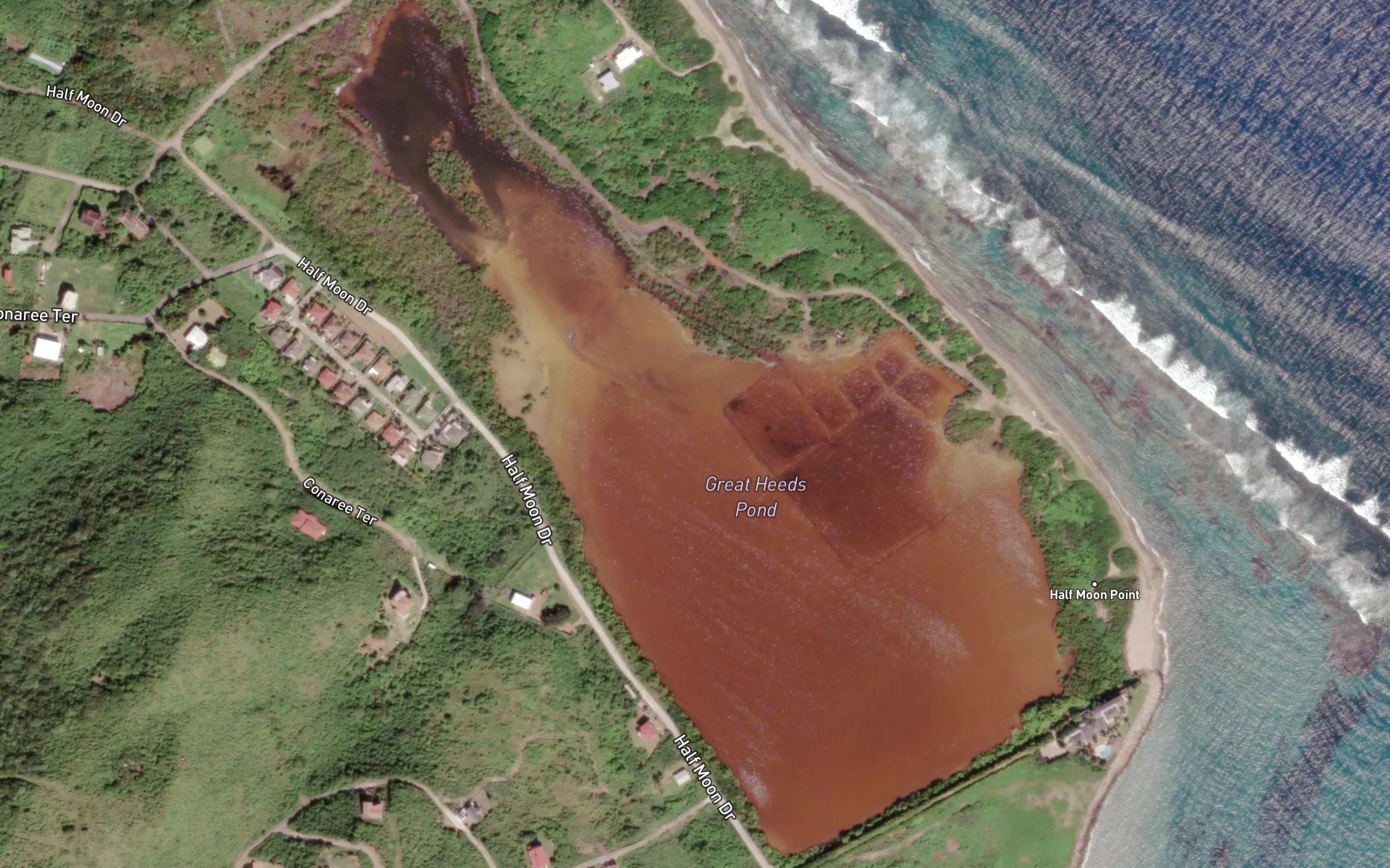 Half Moon Pond