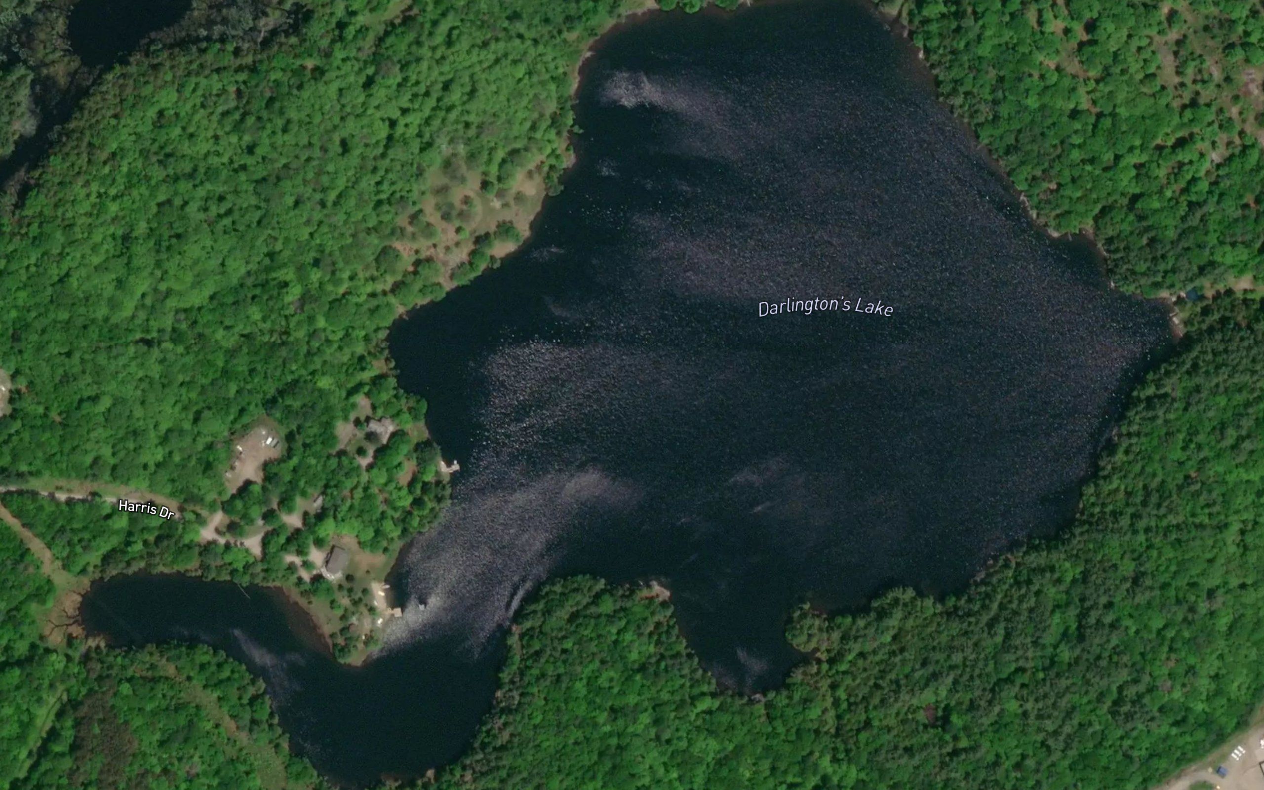 Darlington's Lake