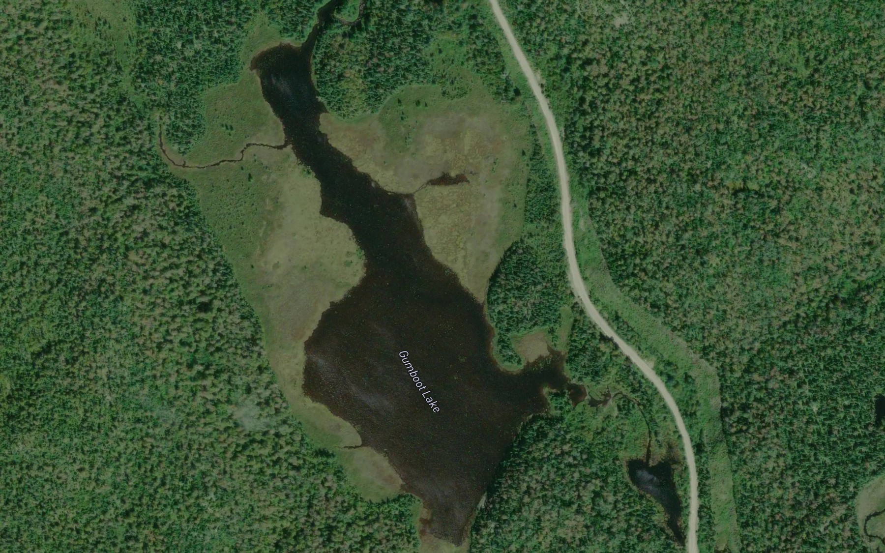 Satellite map of the Gumboot Lake