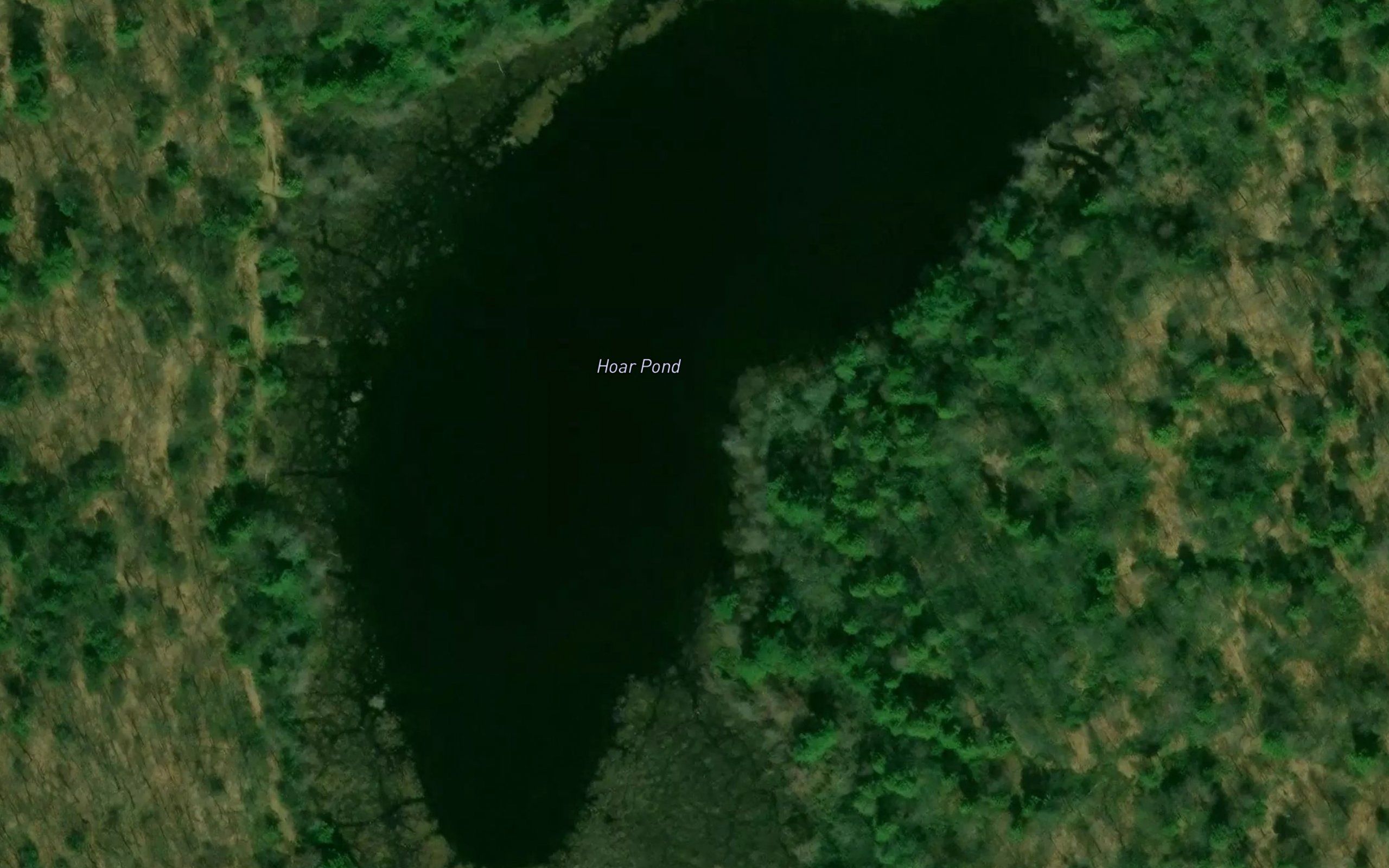 Hoar Pond