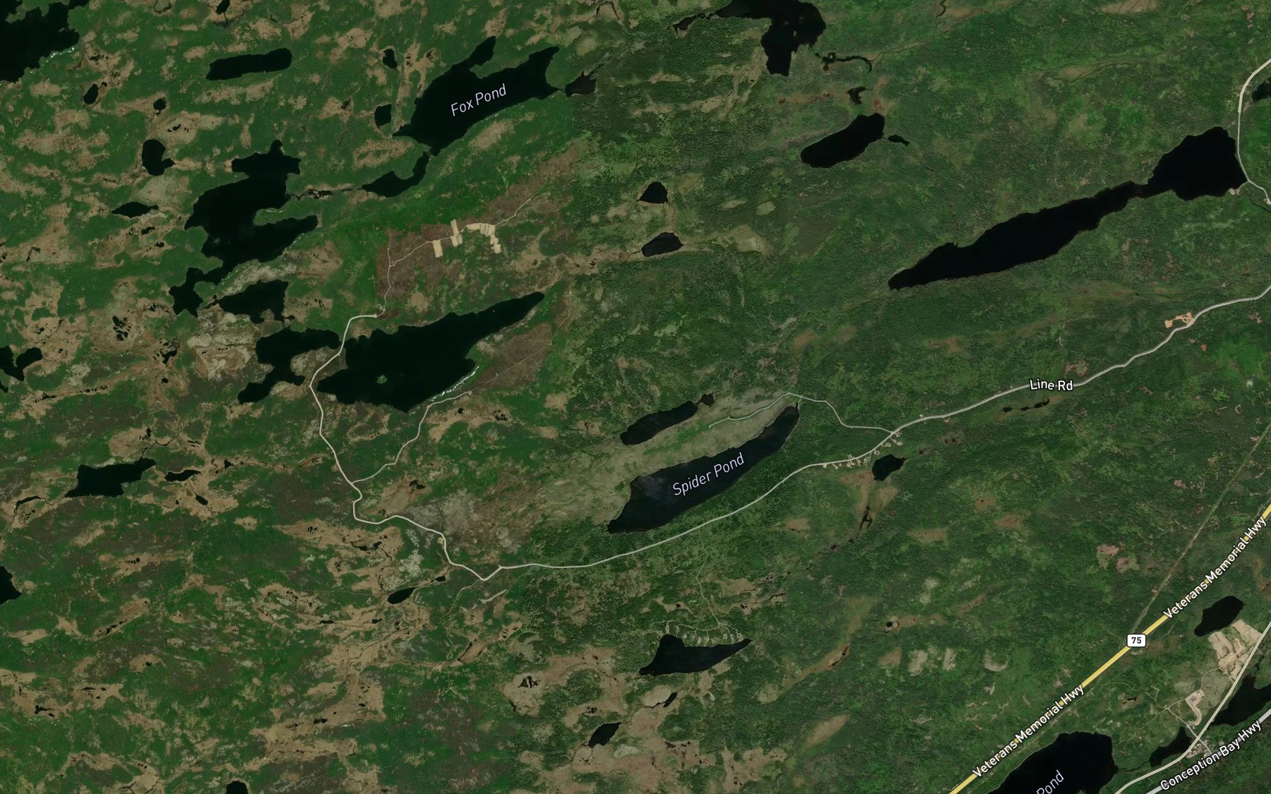 Satellite map of the Fox Pond