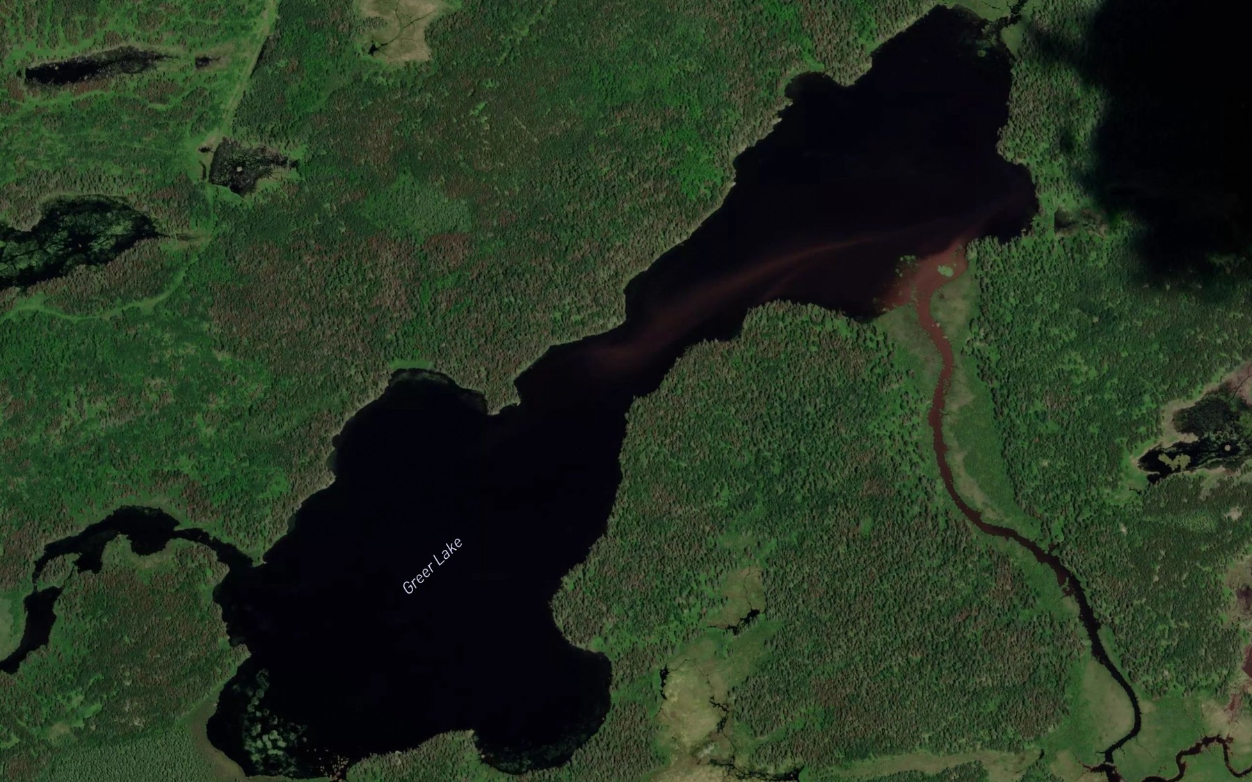 Satellite map of the Greer Lake