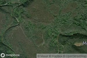 Reed Creek