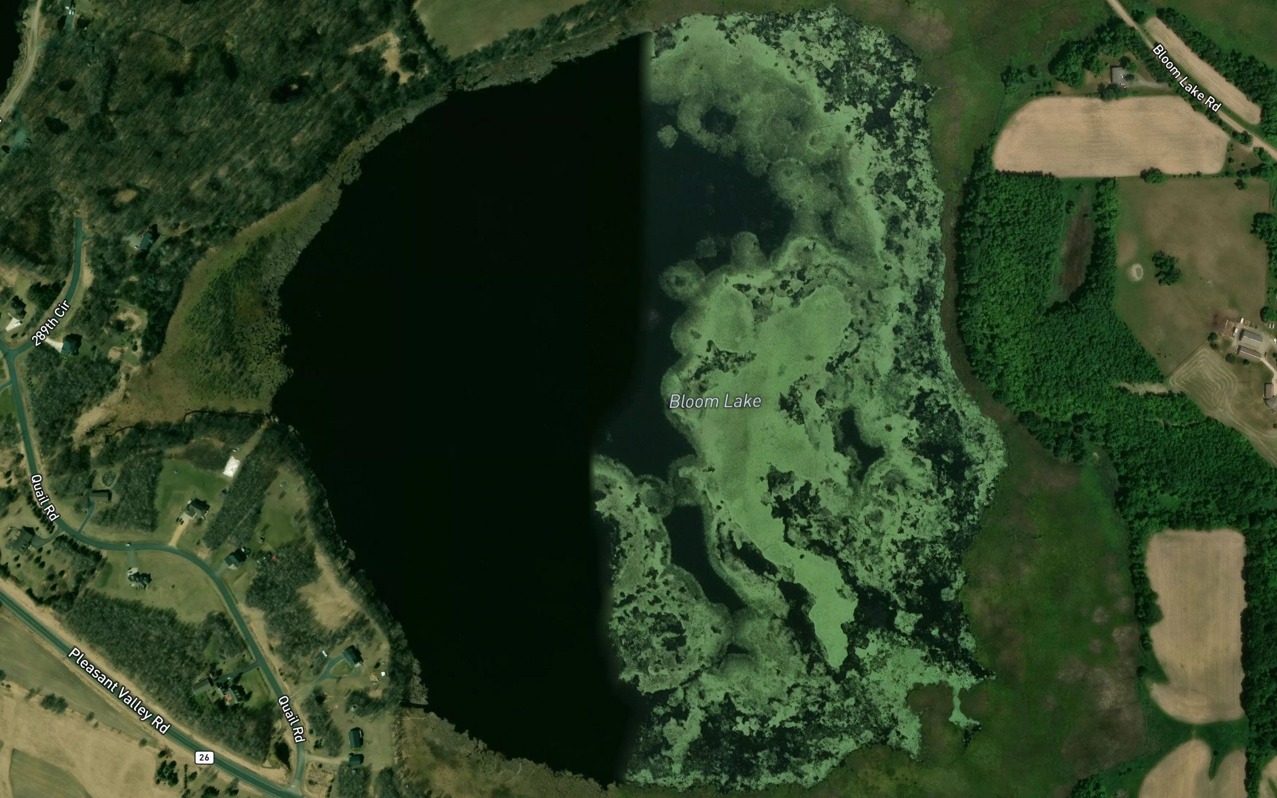 Bloom Lake