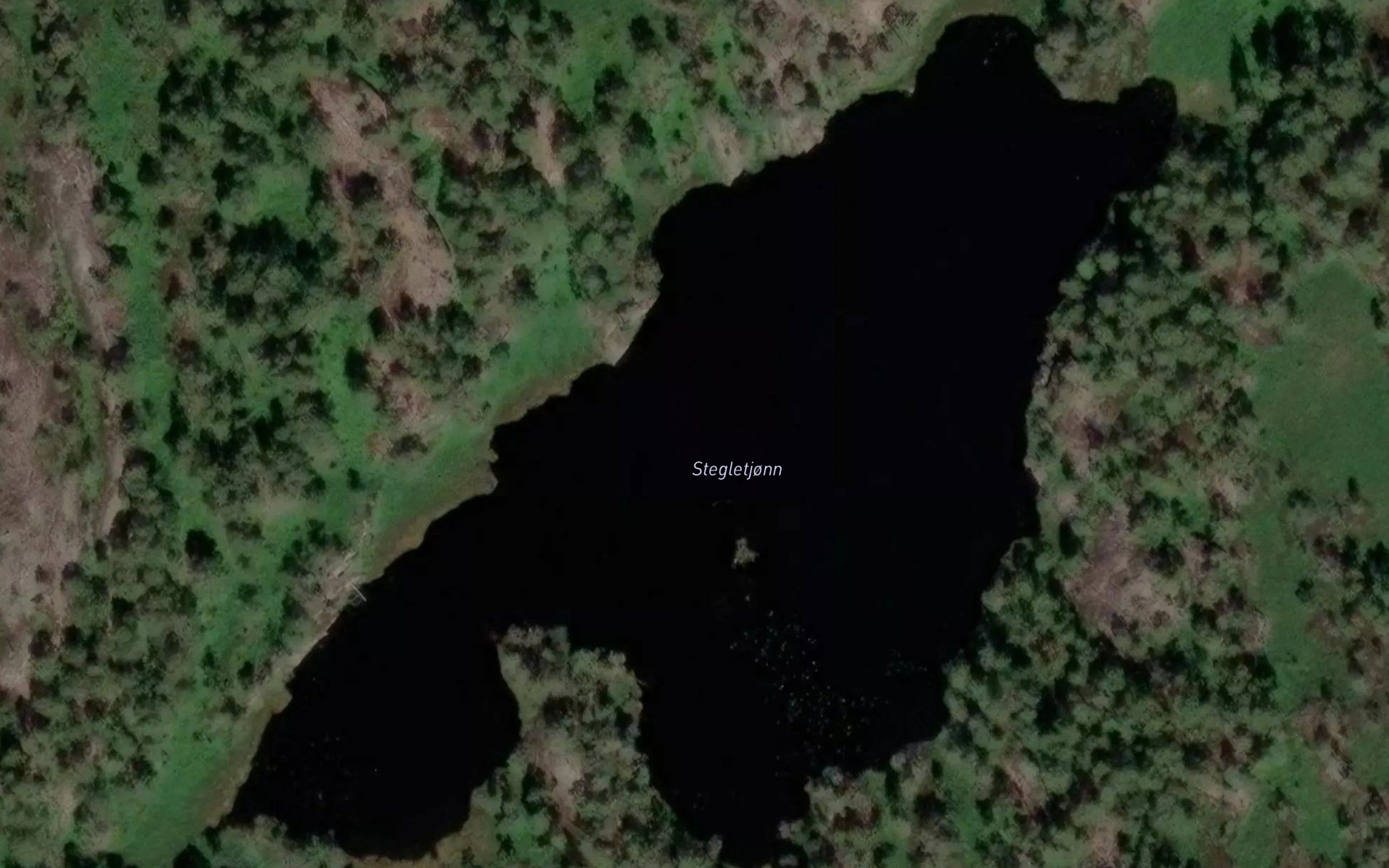 Stegletjonn