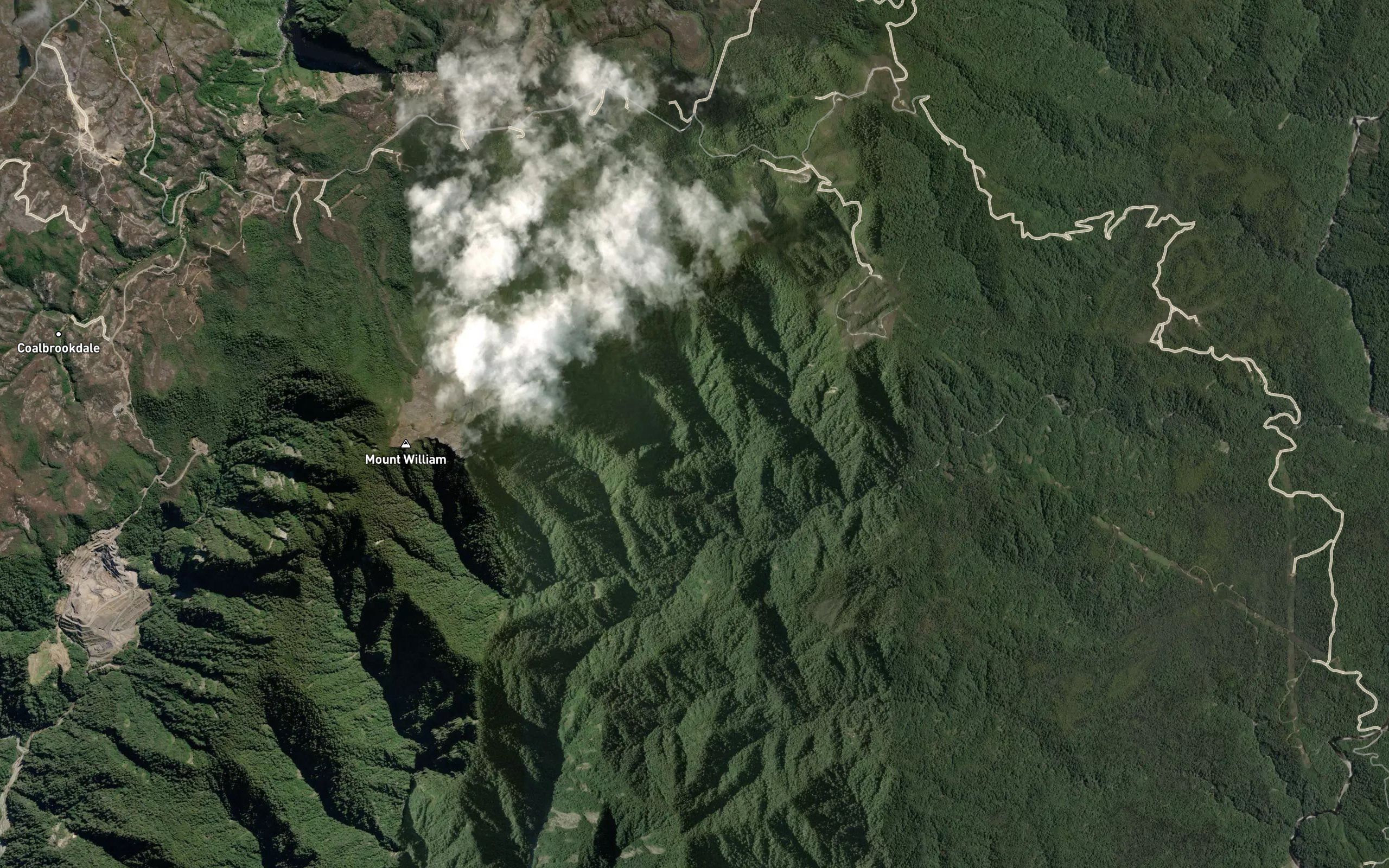 Mount William Stream