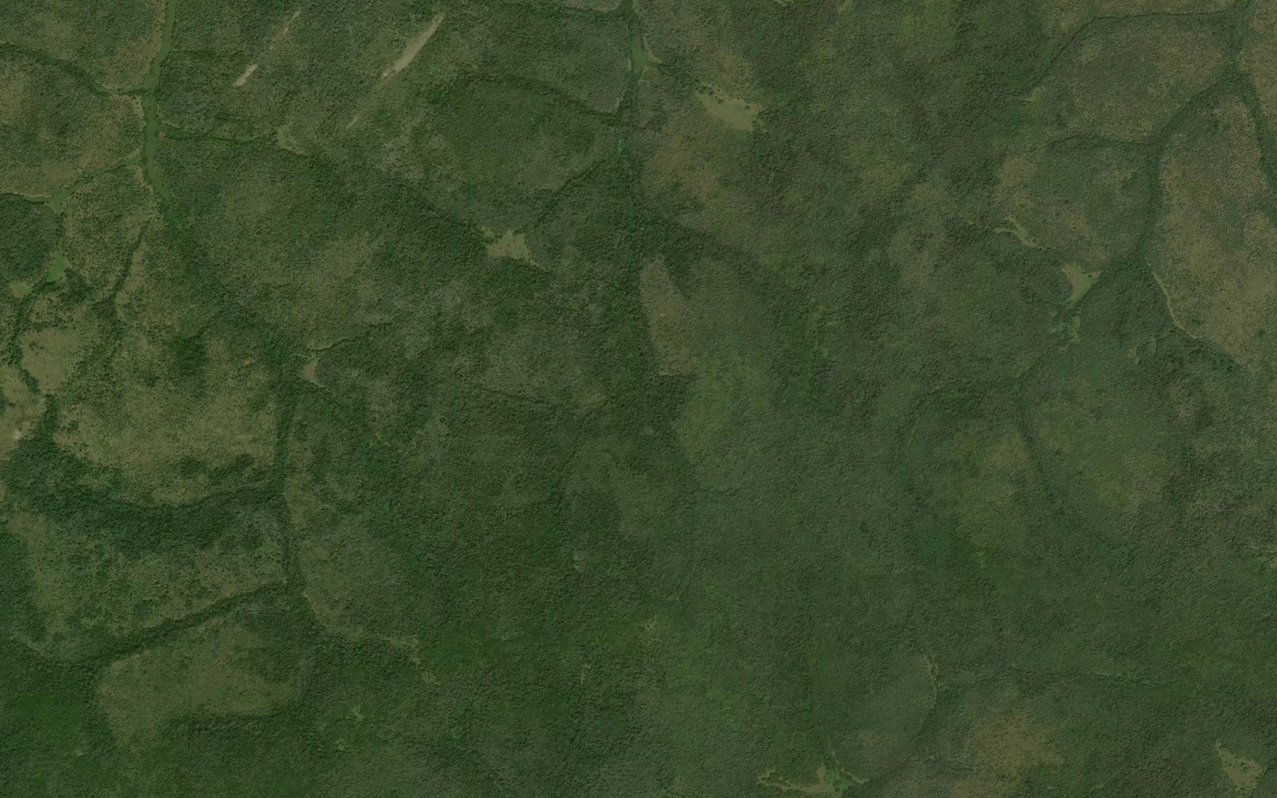 Nabogu
