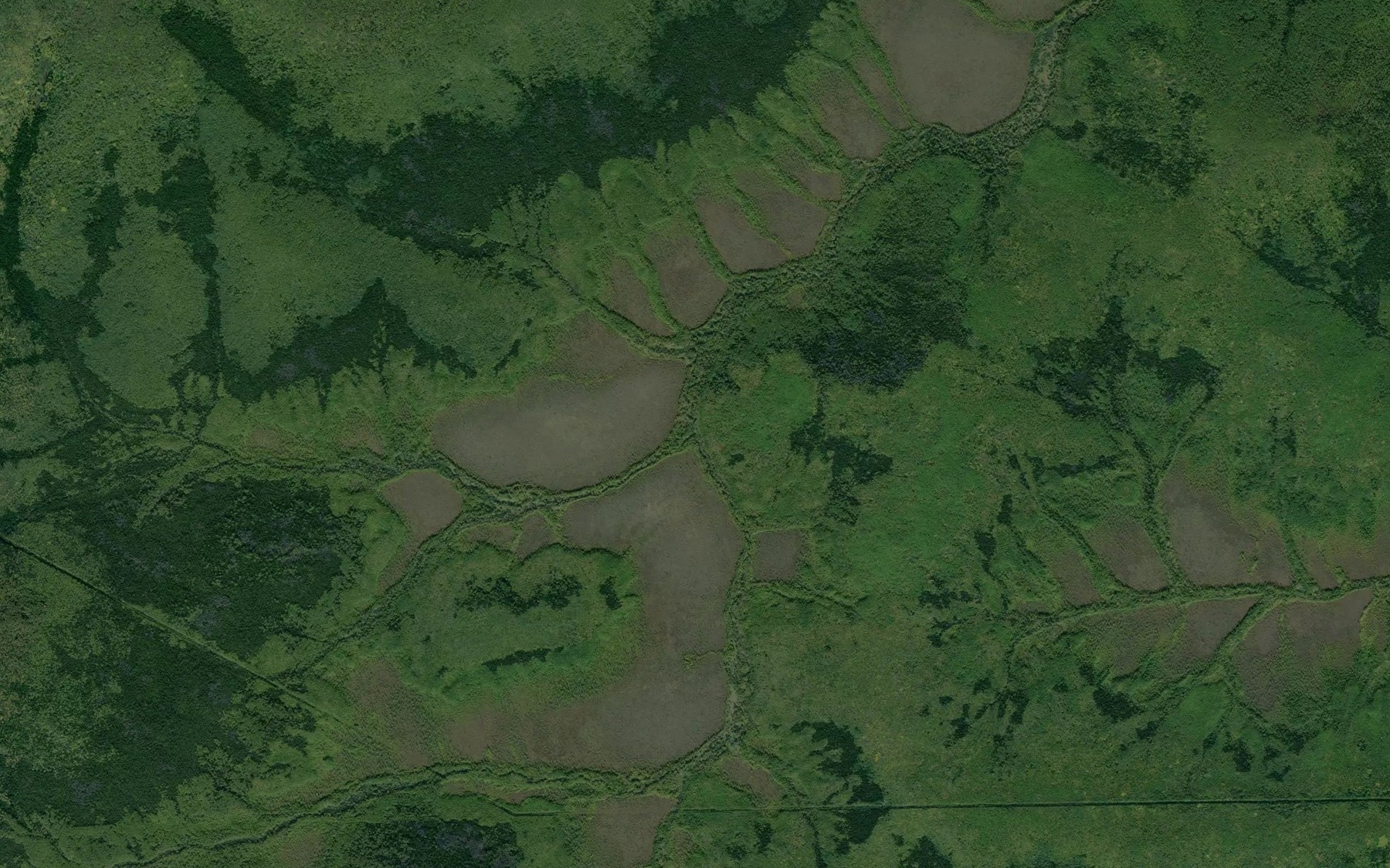 Satellite map of the Dal'niy