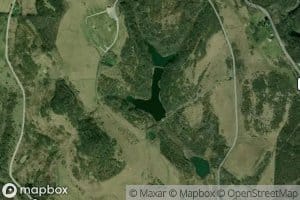 Consolidation Coal Company Pond 0206