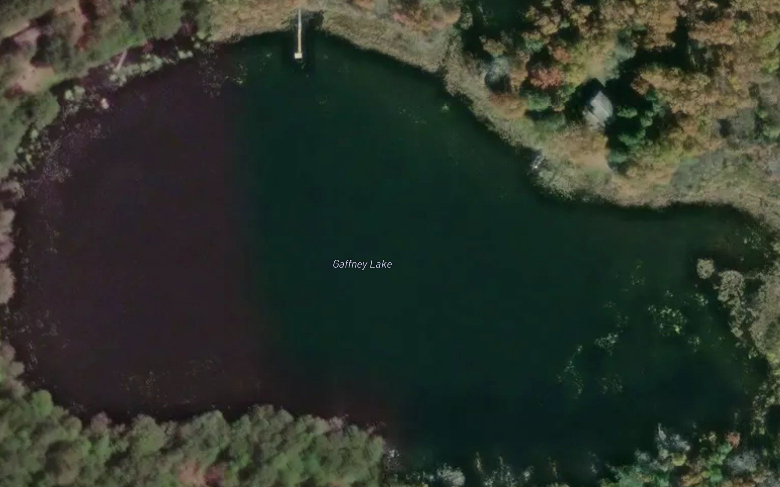 Gaffney Lake