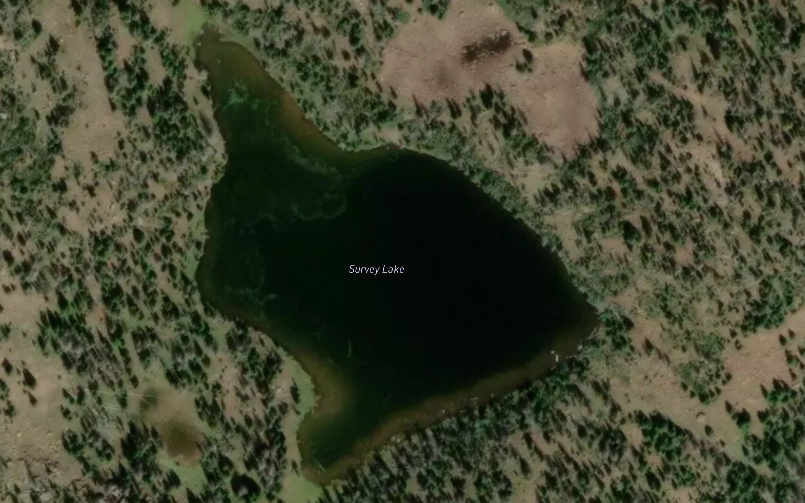Survey Lake