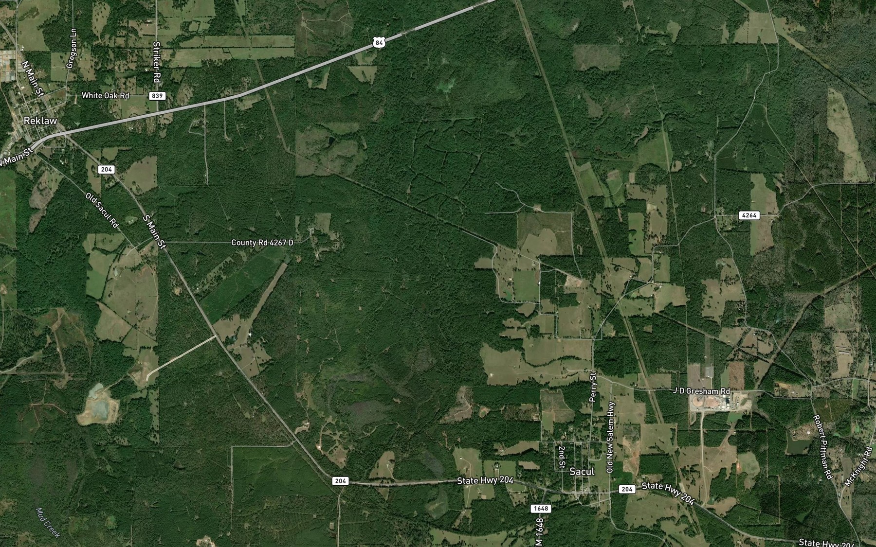 Satellite map of the East Fork Angelina River