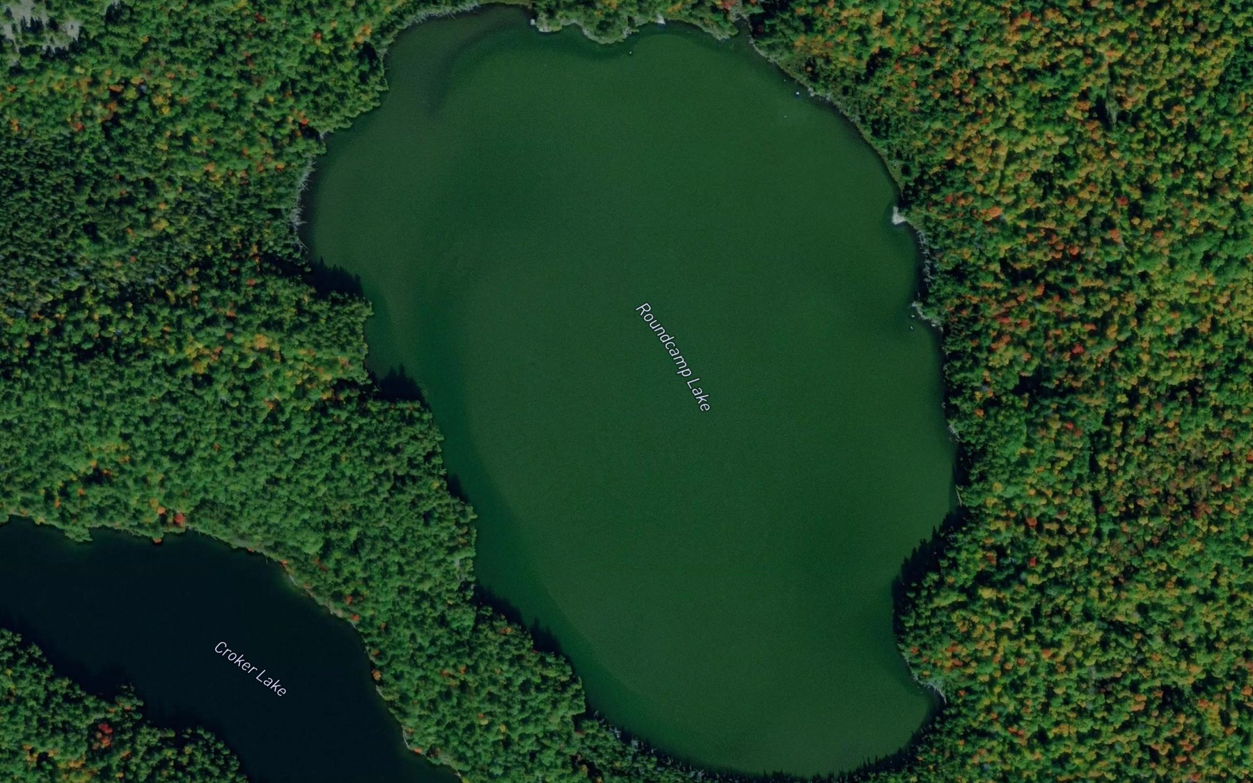 Satellite map of the Roundcamp Lake