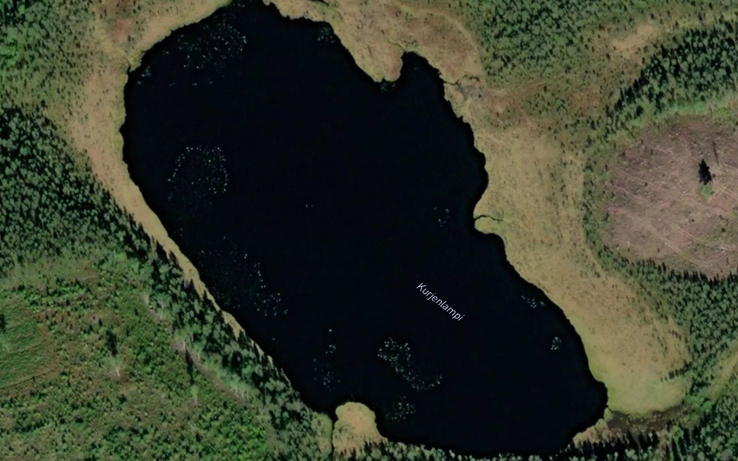 Kurjenlampi