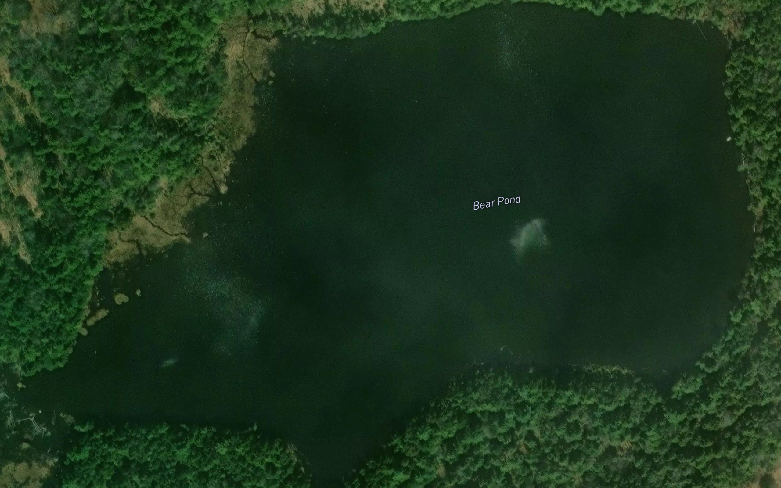 Bear Pond