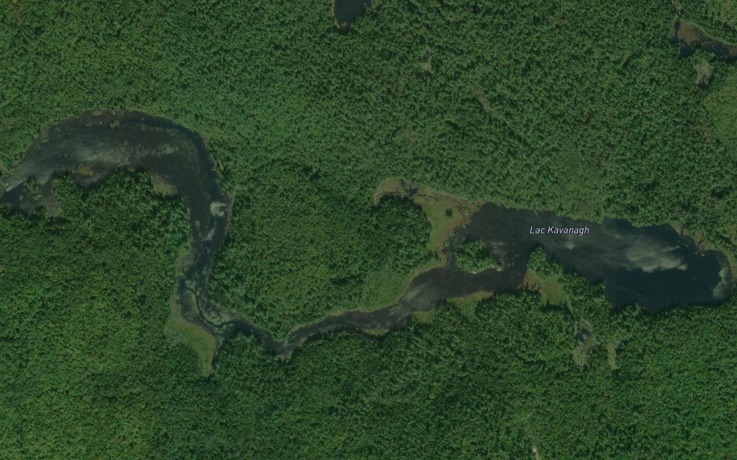Lac Kavanagh