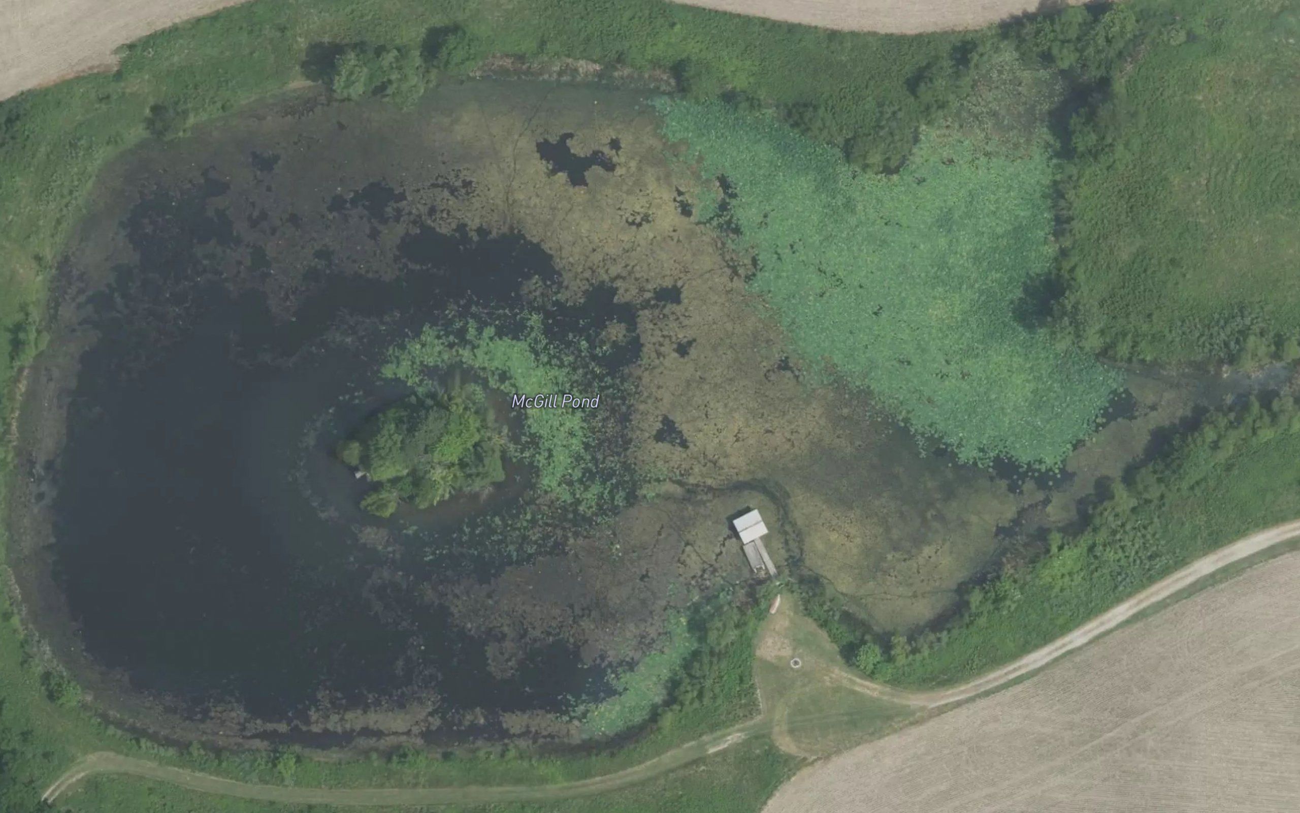 McGill Pond