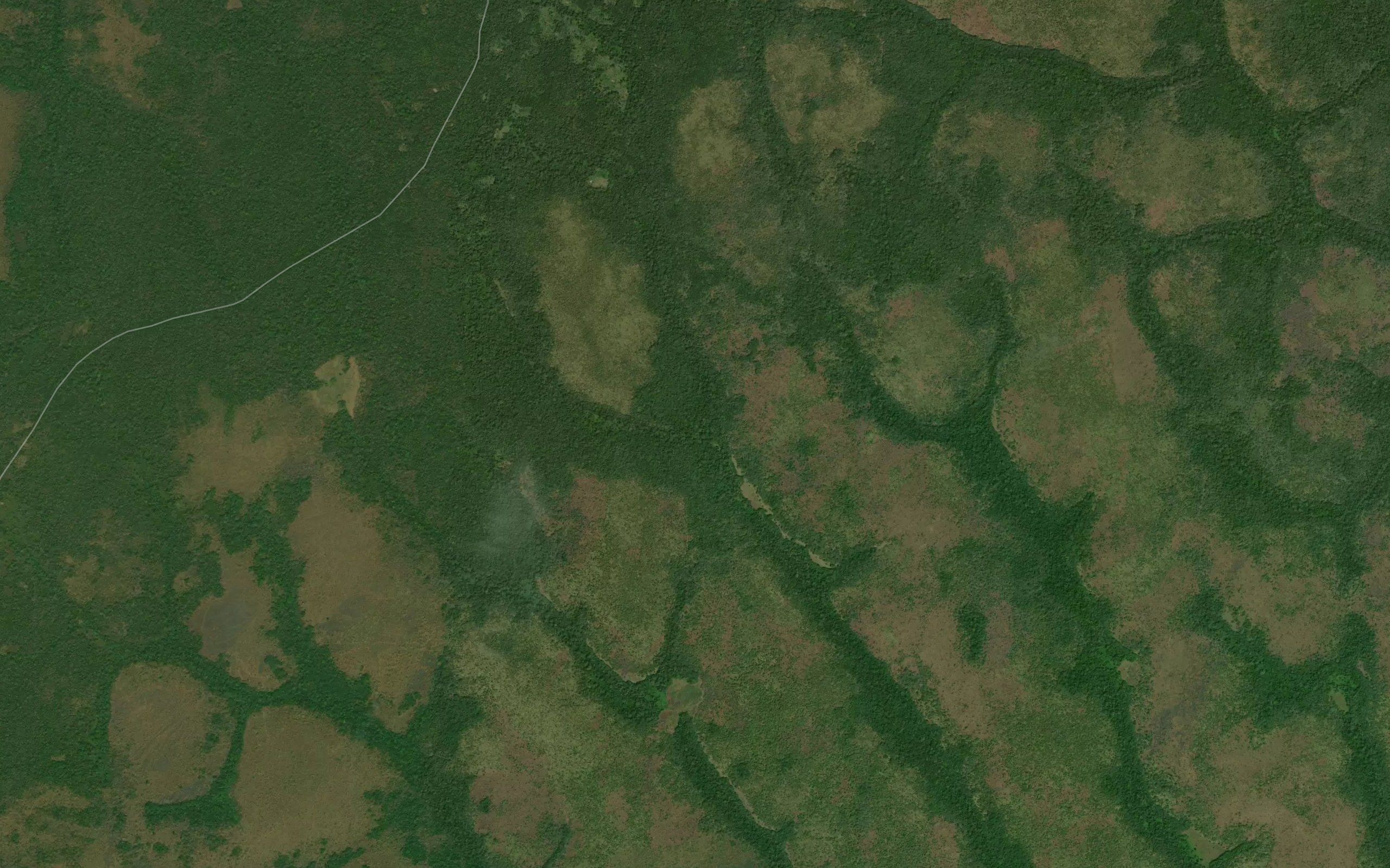 Nagumba