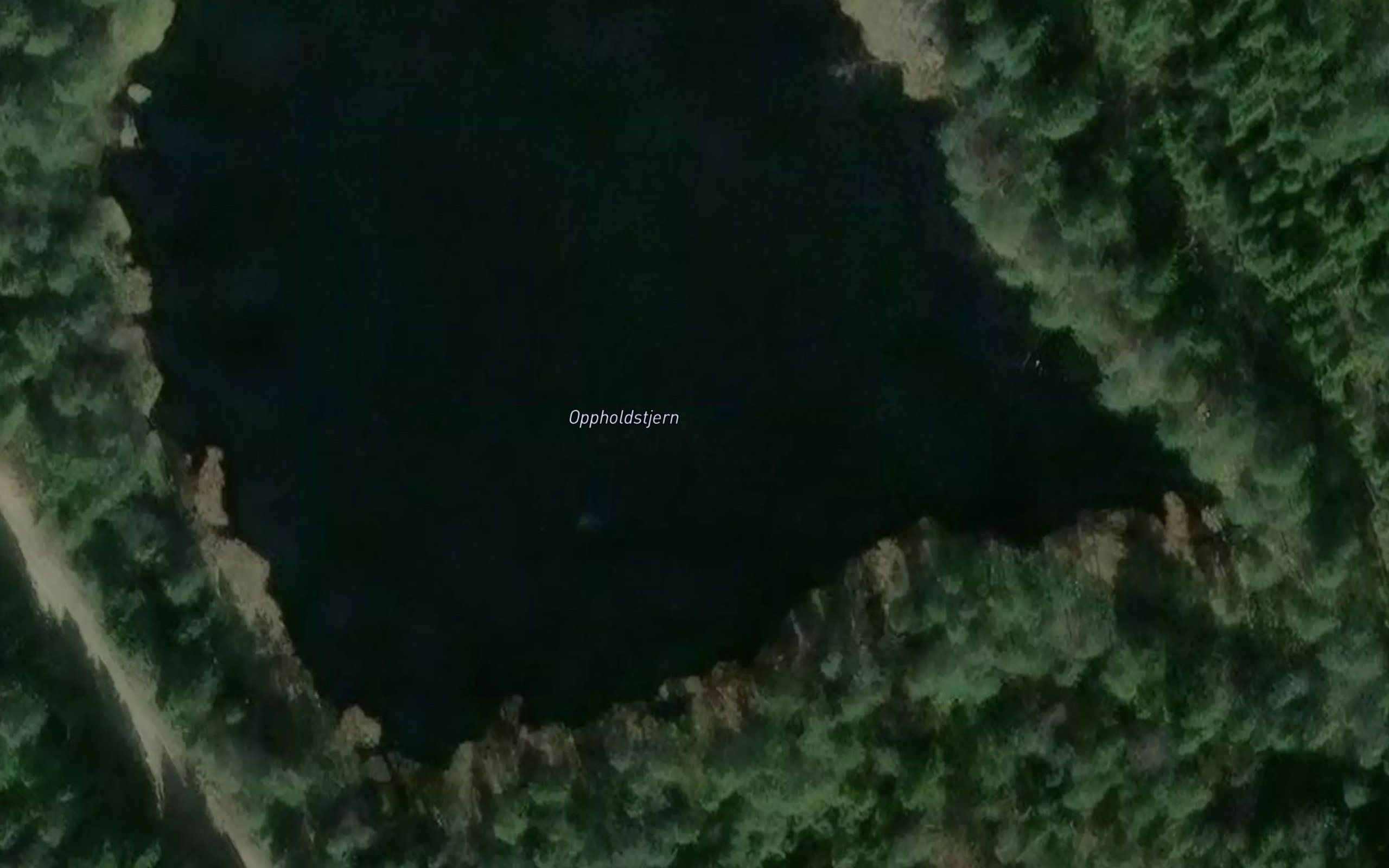 Oppholdstjern