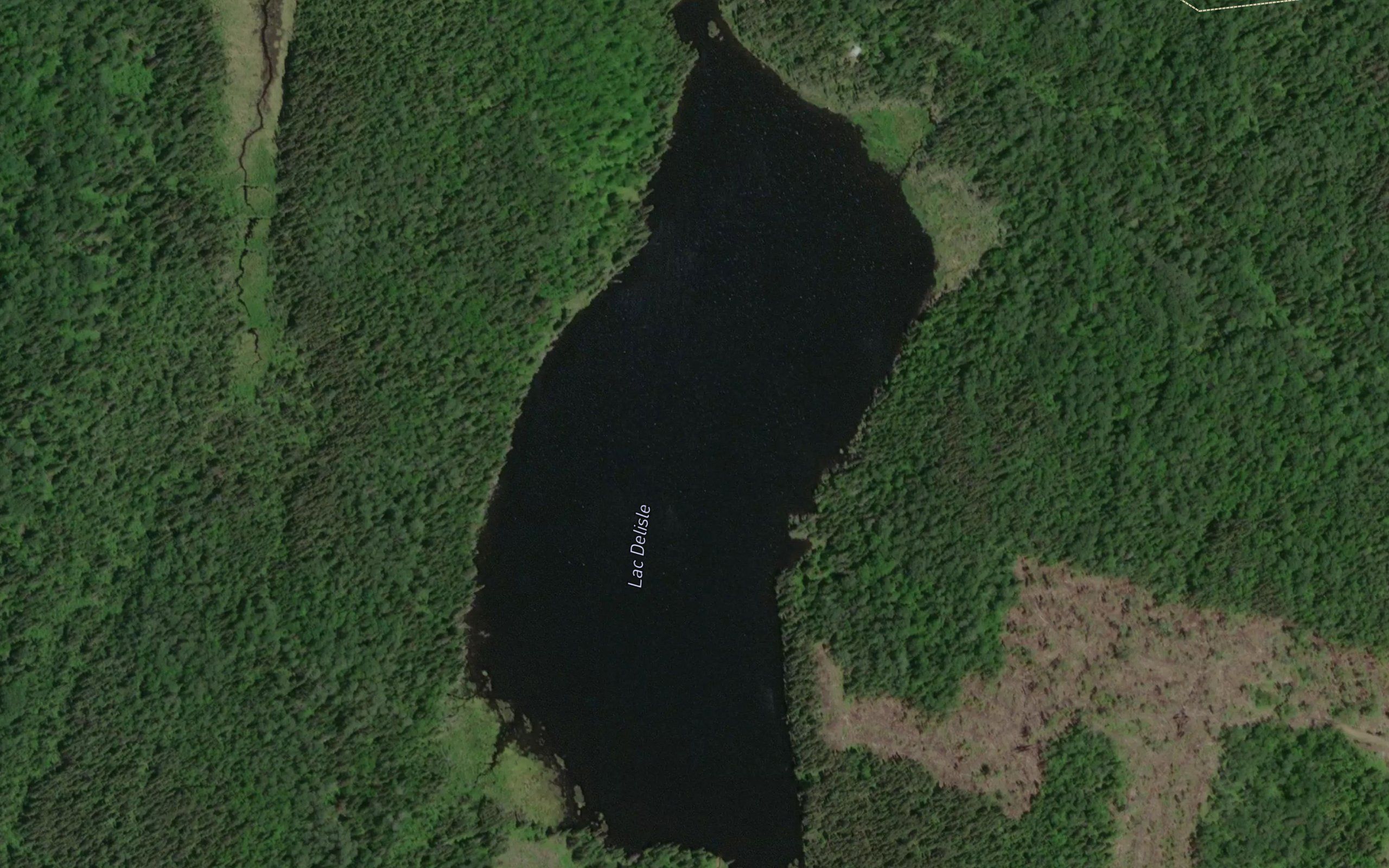 Lac Delisle