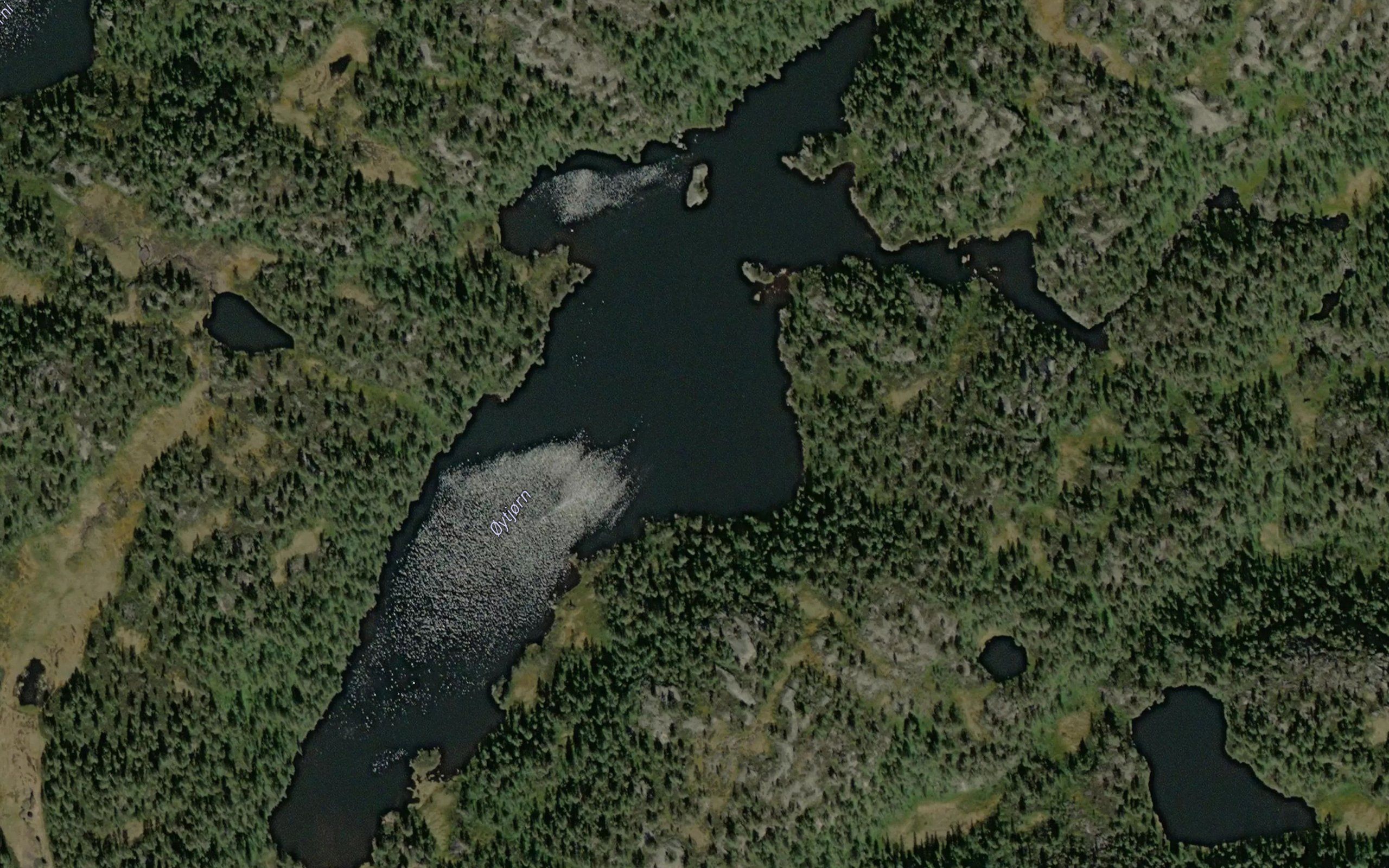 Oytjorn