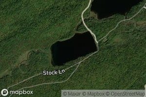 Upper Pond