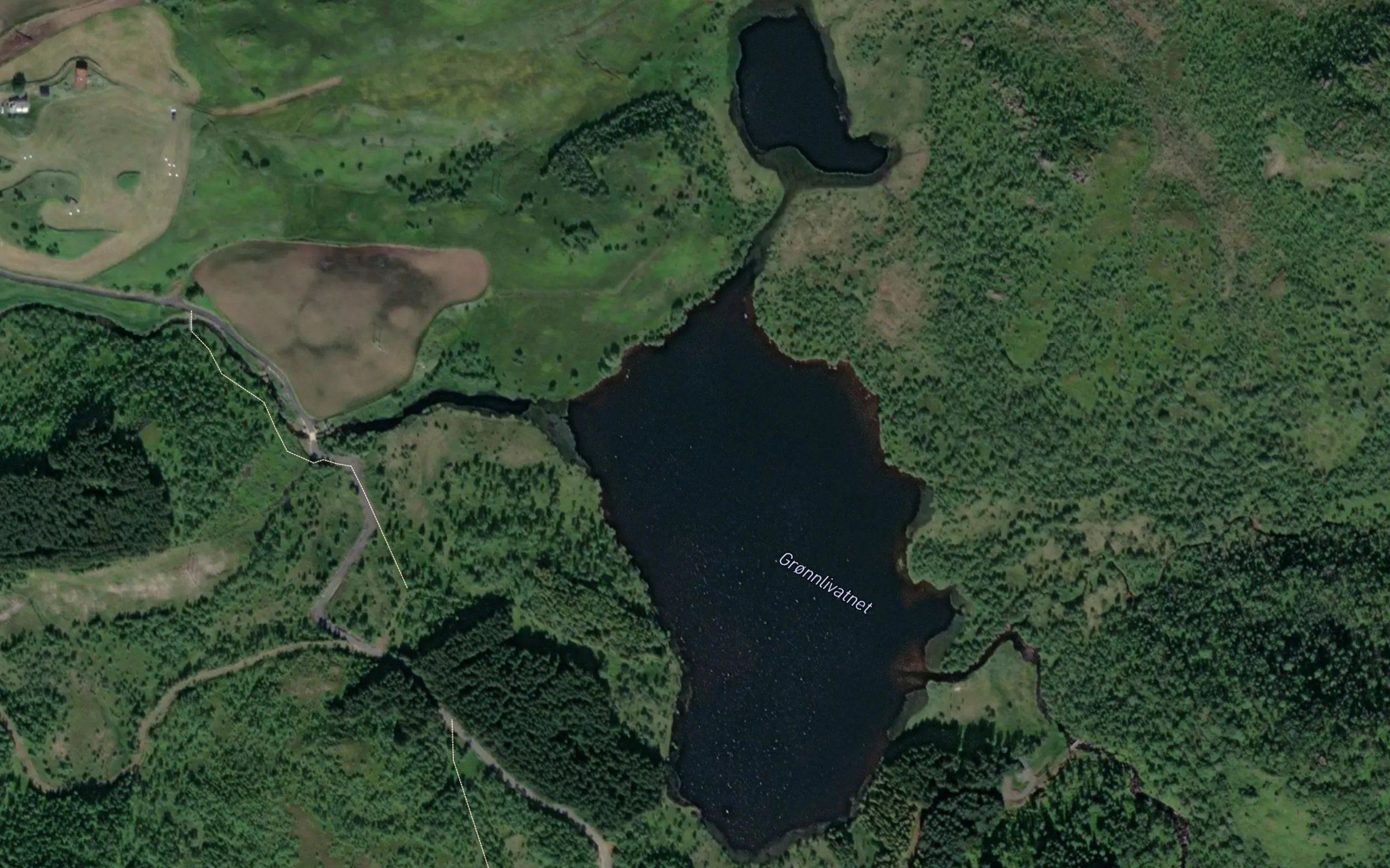 Gronlivatnet