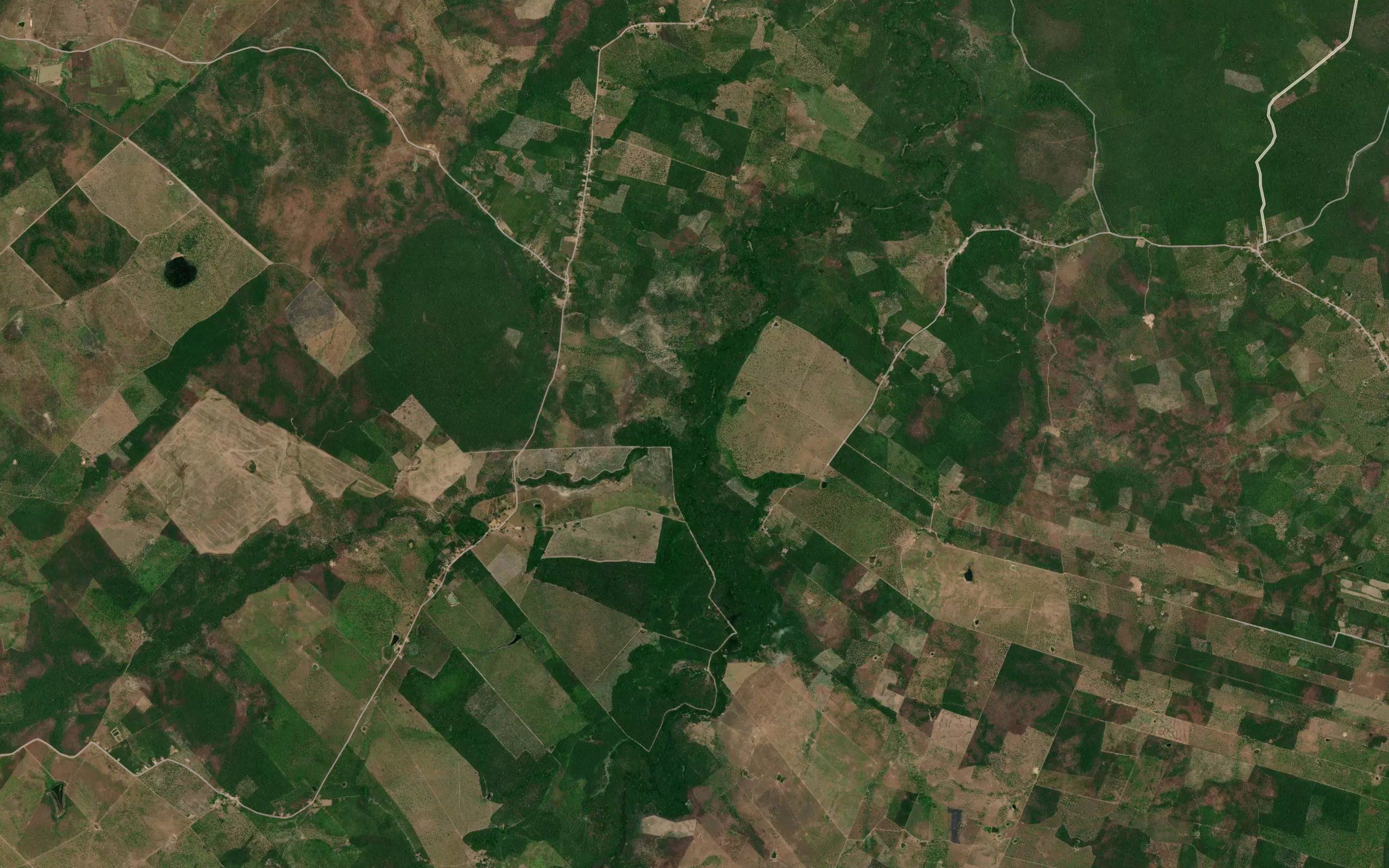 Igarape Jacare