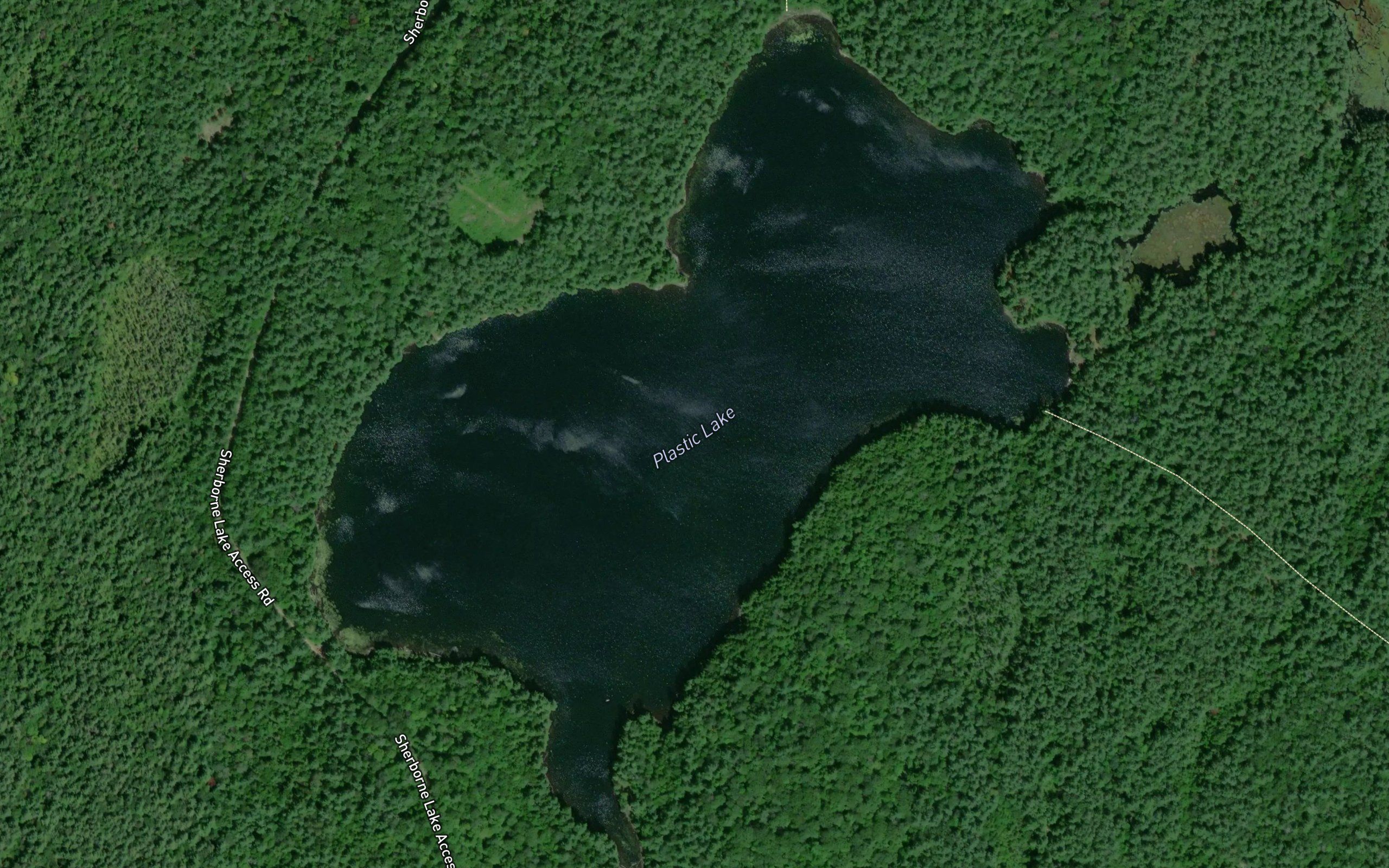 Plastic Lake