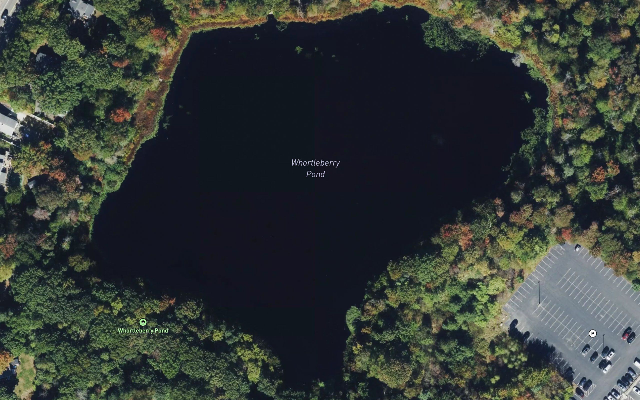 Whortleberry Pond