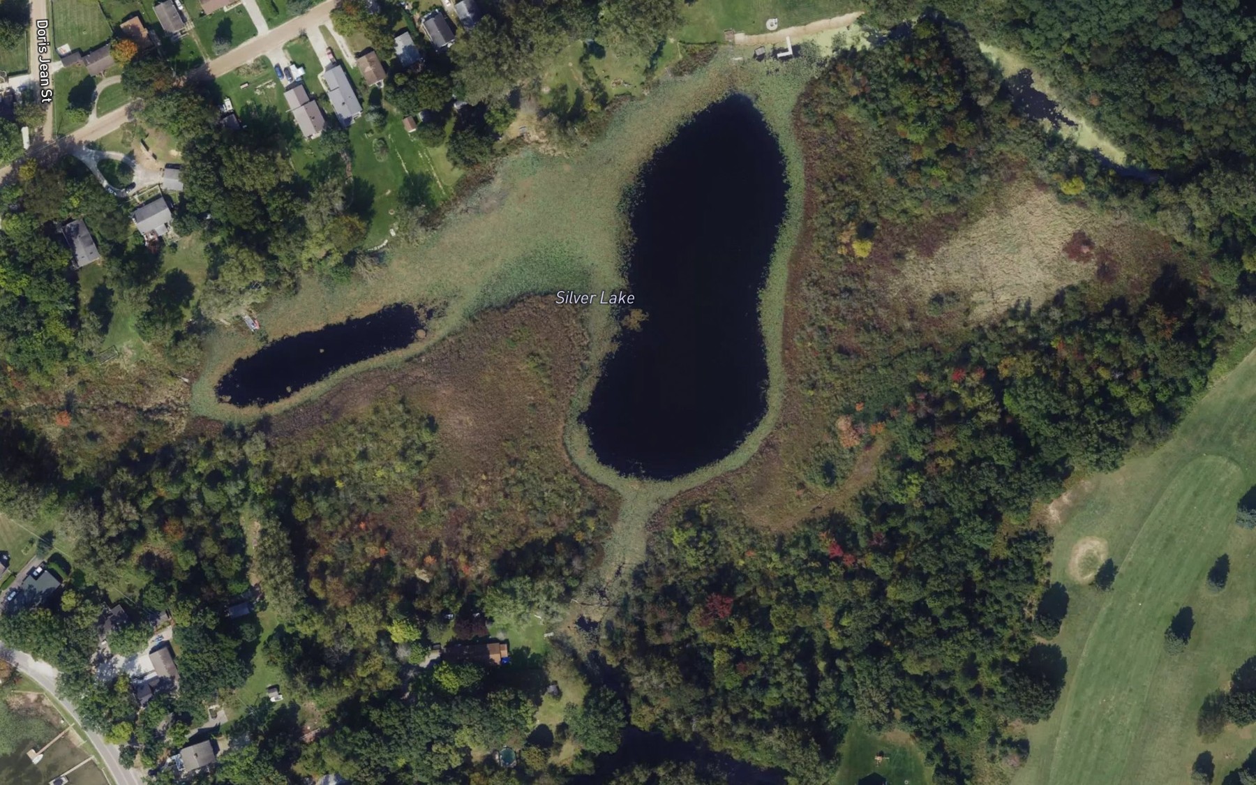 Satellite map of the Silver Lake
