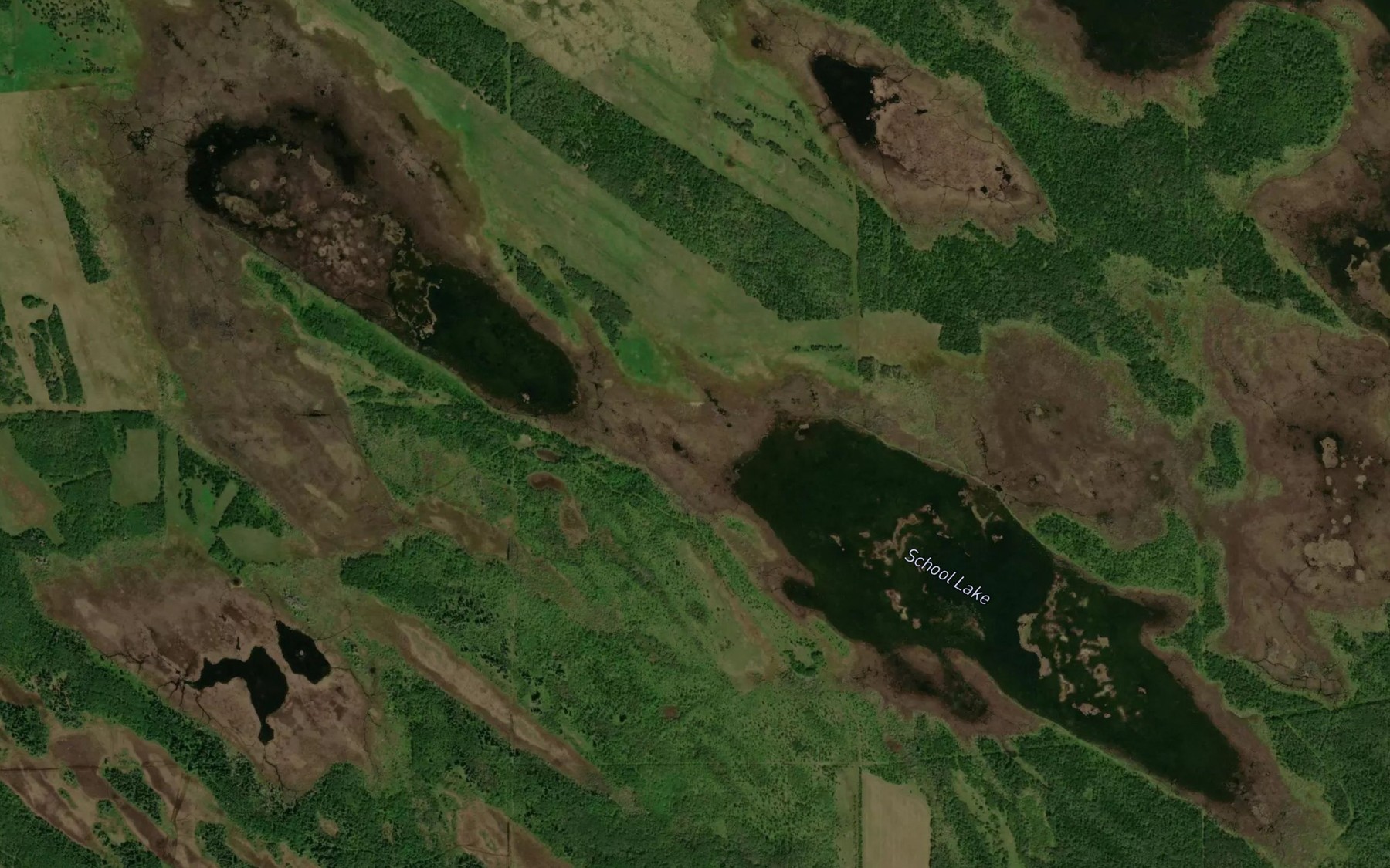 Satellite map of the School Lake