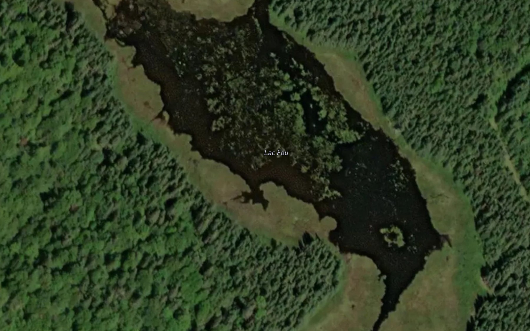Satellite map of the Lac Fou