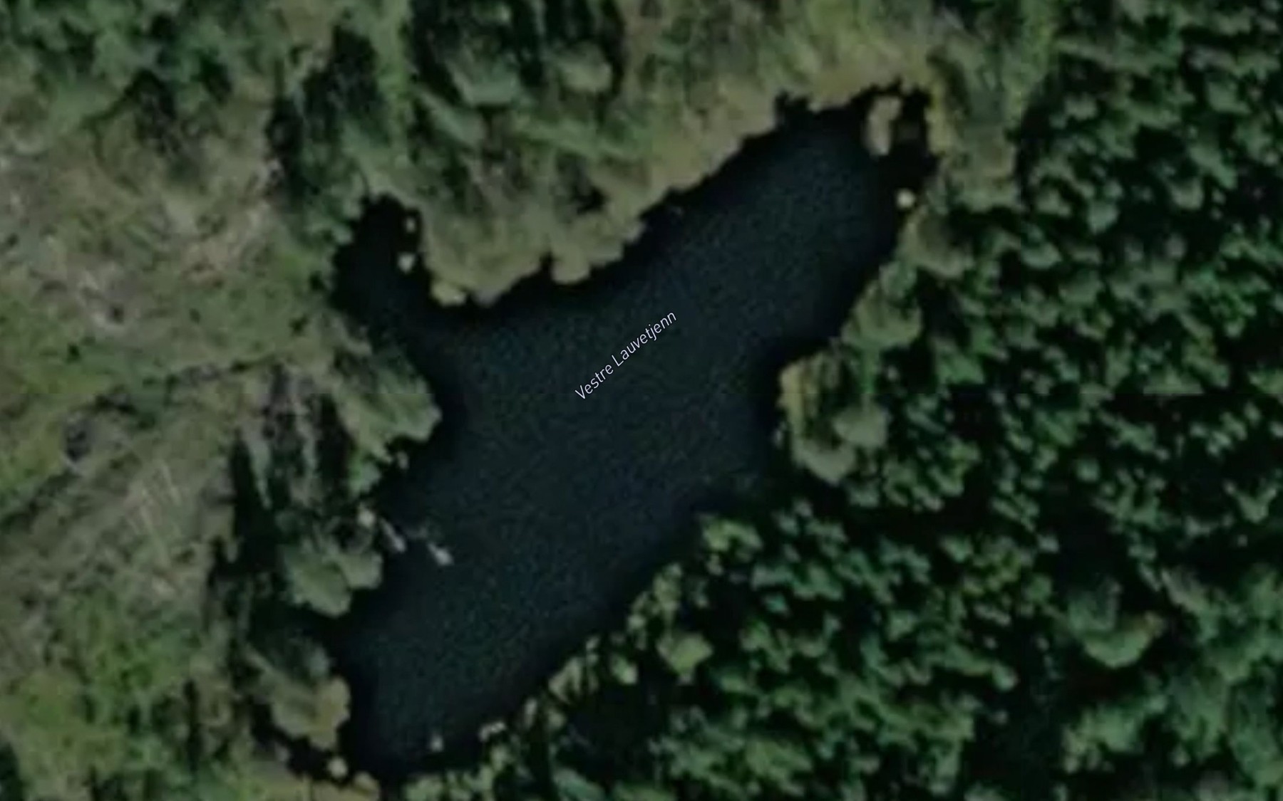 Satellite map of the Lauvetjenn,vestre