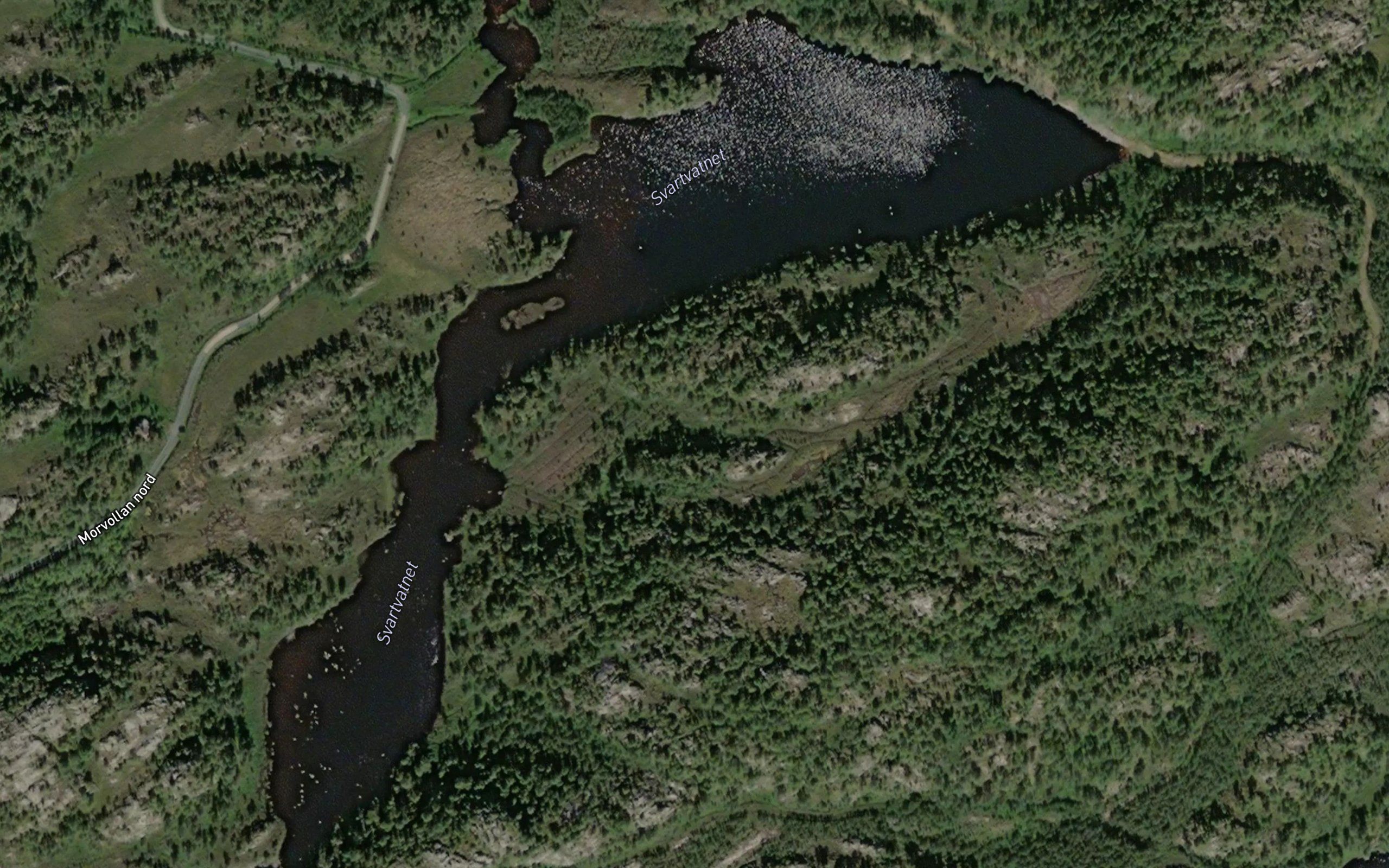 Svartvatnet