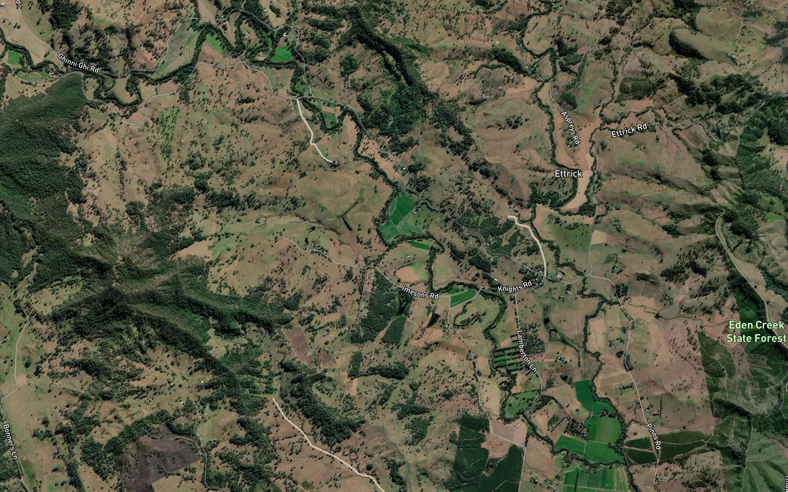 Tinpot Gully