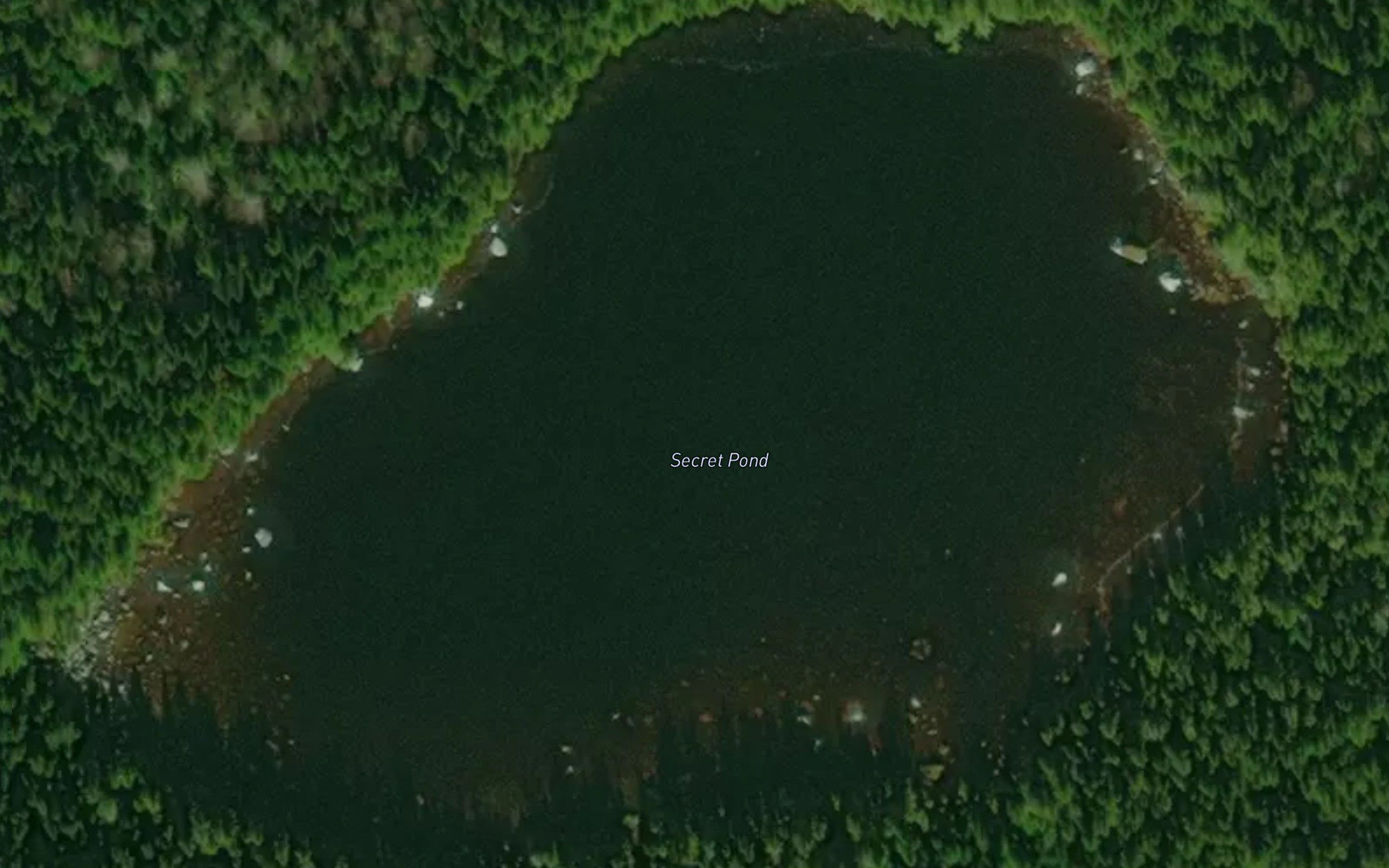 Secret Pond