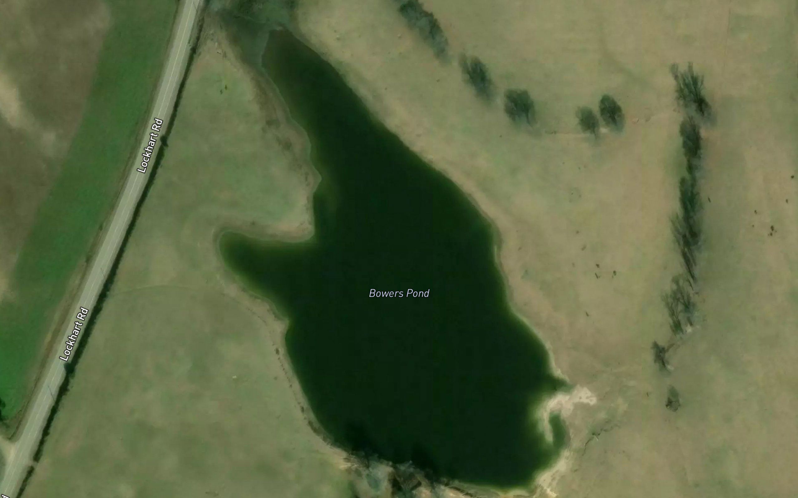 Bowers Pond